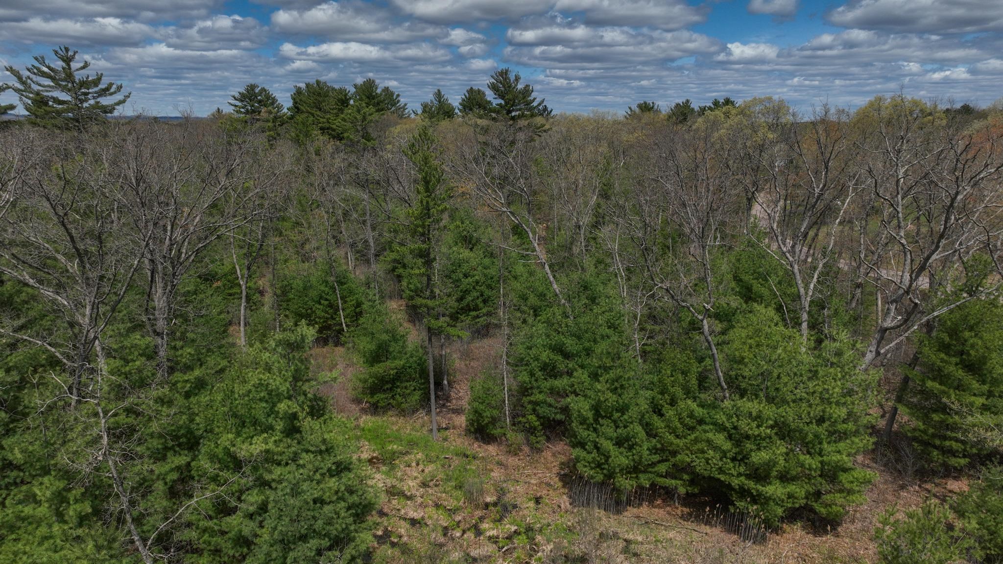 Lot 4 Grayling Avenue