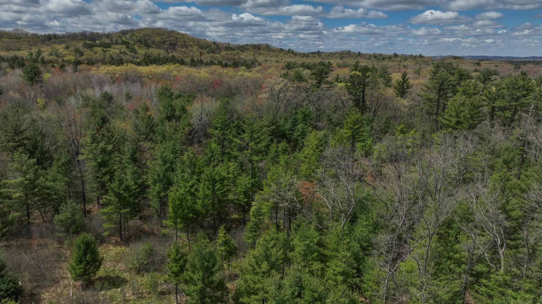 Lot 4 Grayling Avenue