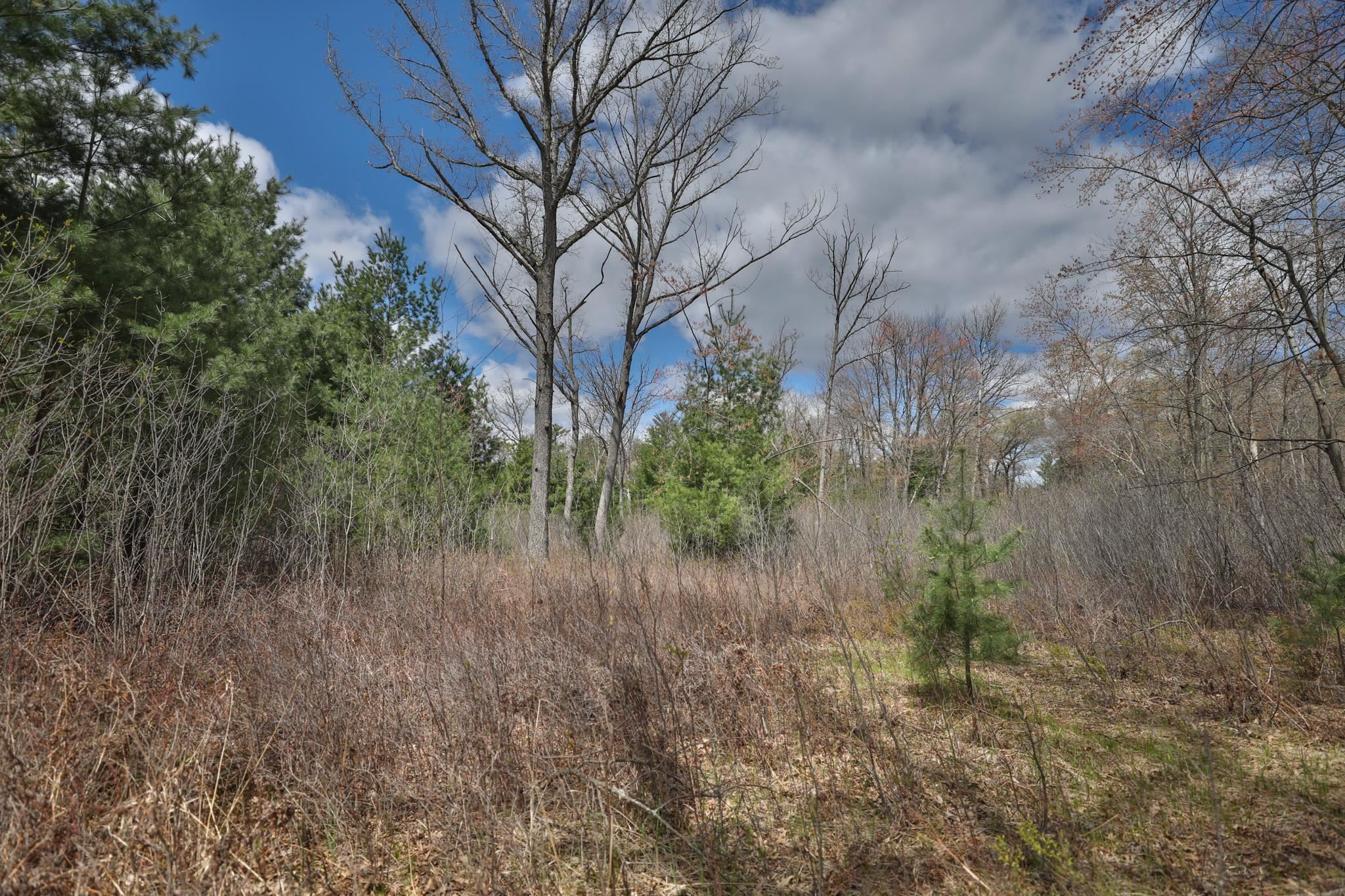 Lot 4 Grayling Avenue