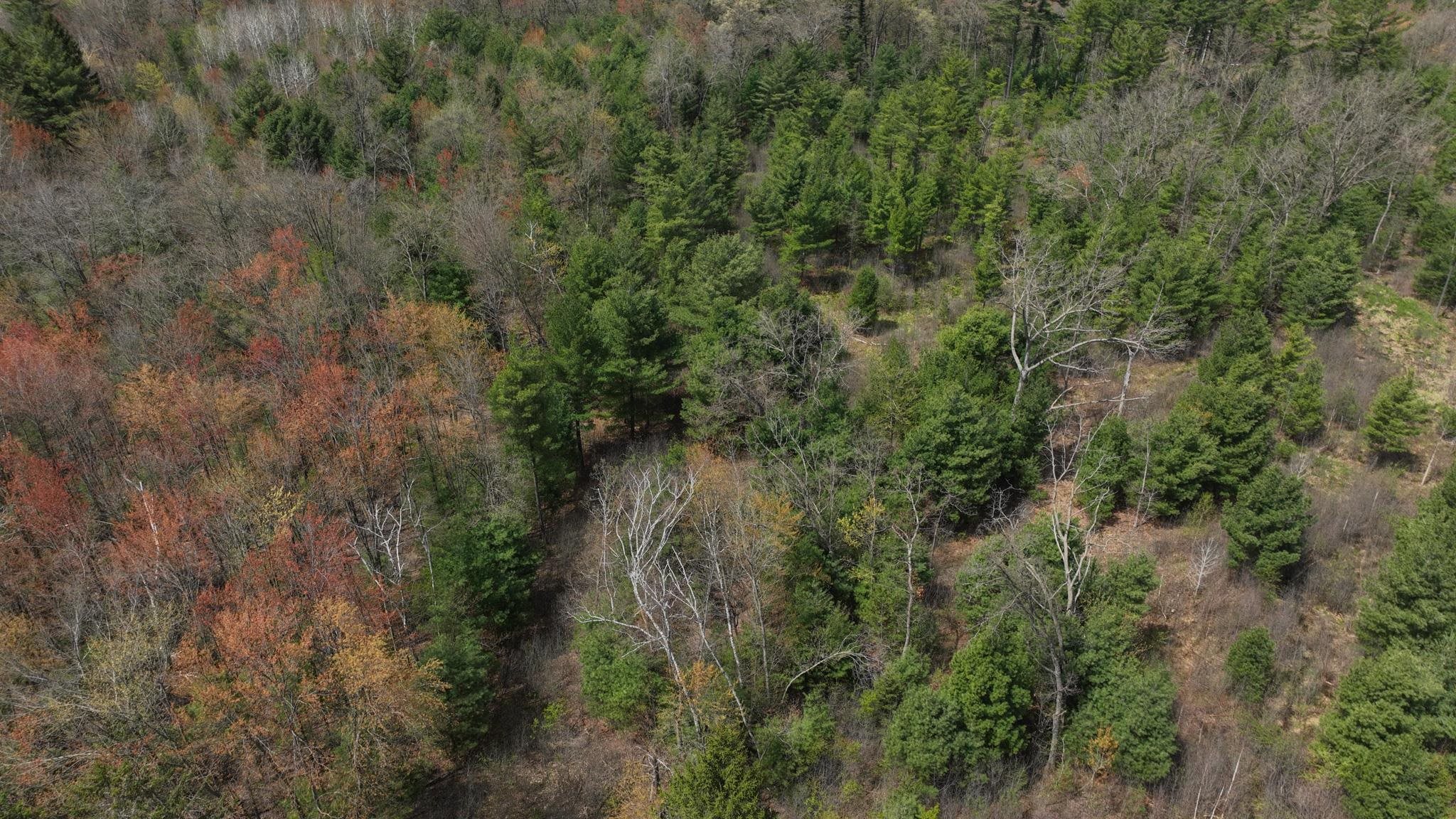 Lot 4 Grayling Avenue