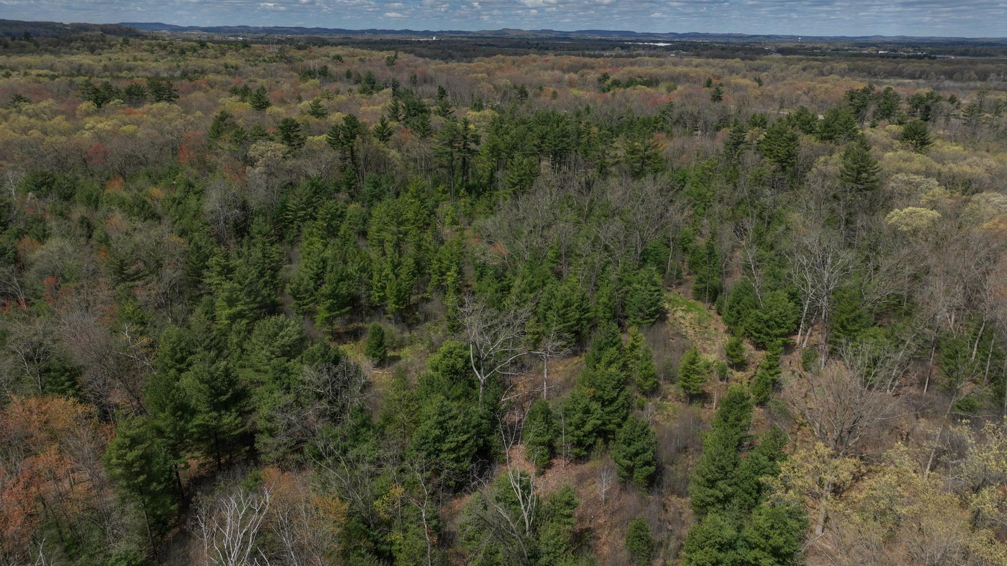 Lot 4 Grayling Avenue