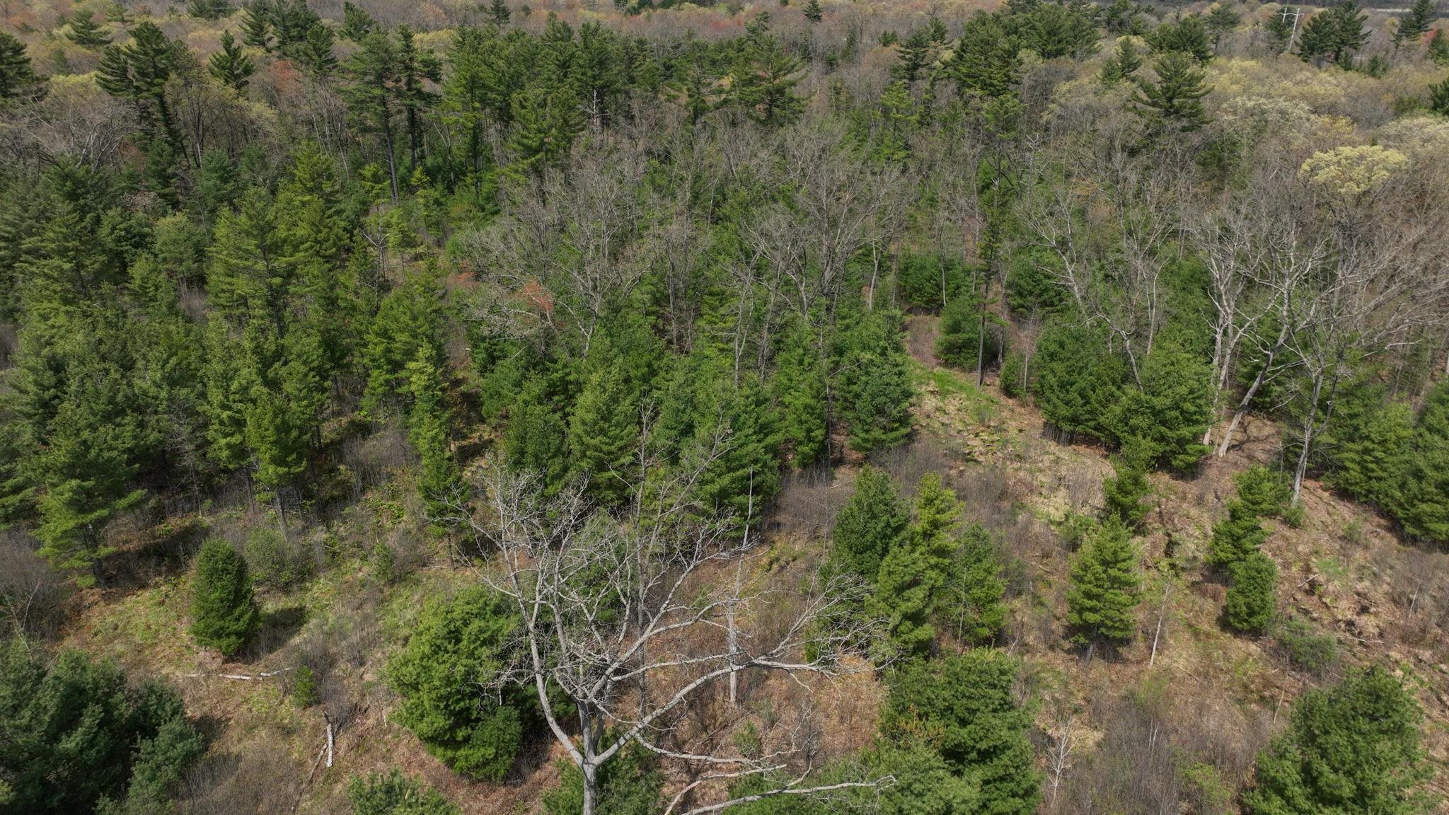Lot 4 Grayling Avenue