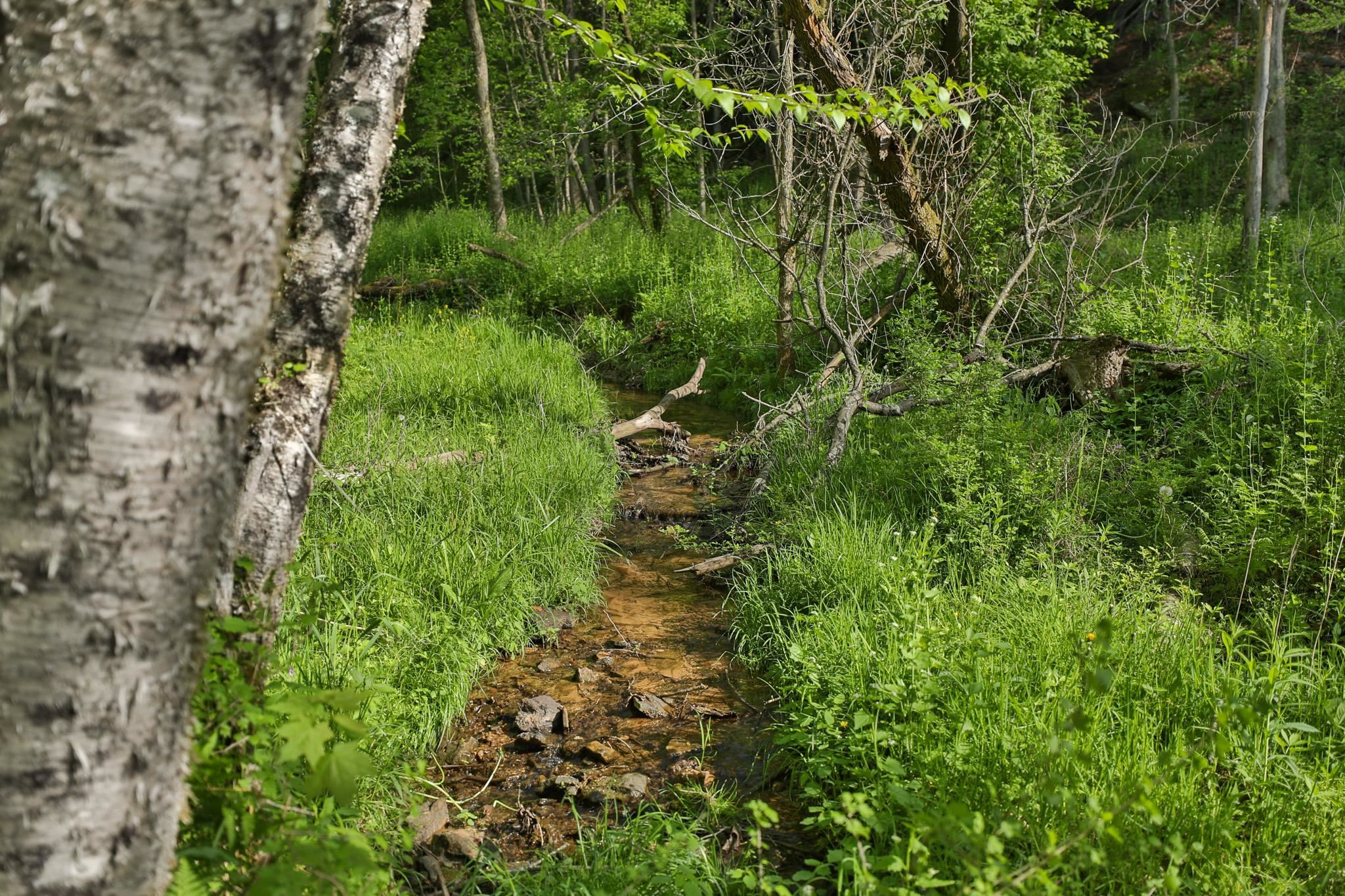 N971 Pekala Road
