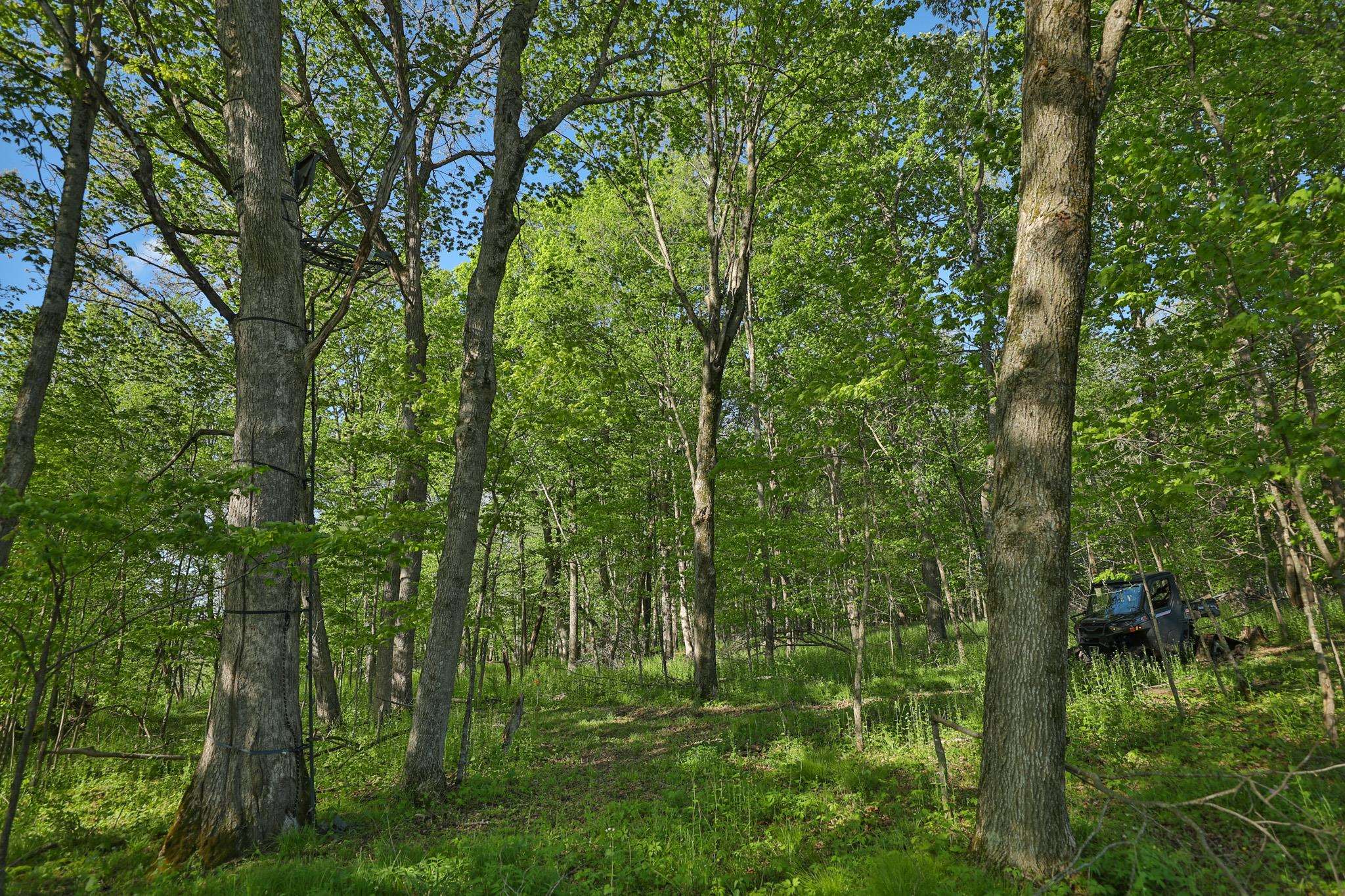 N971 Pekala Road