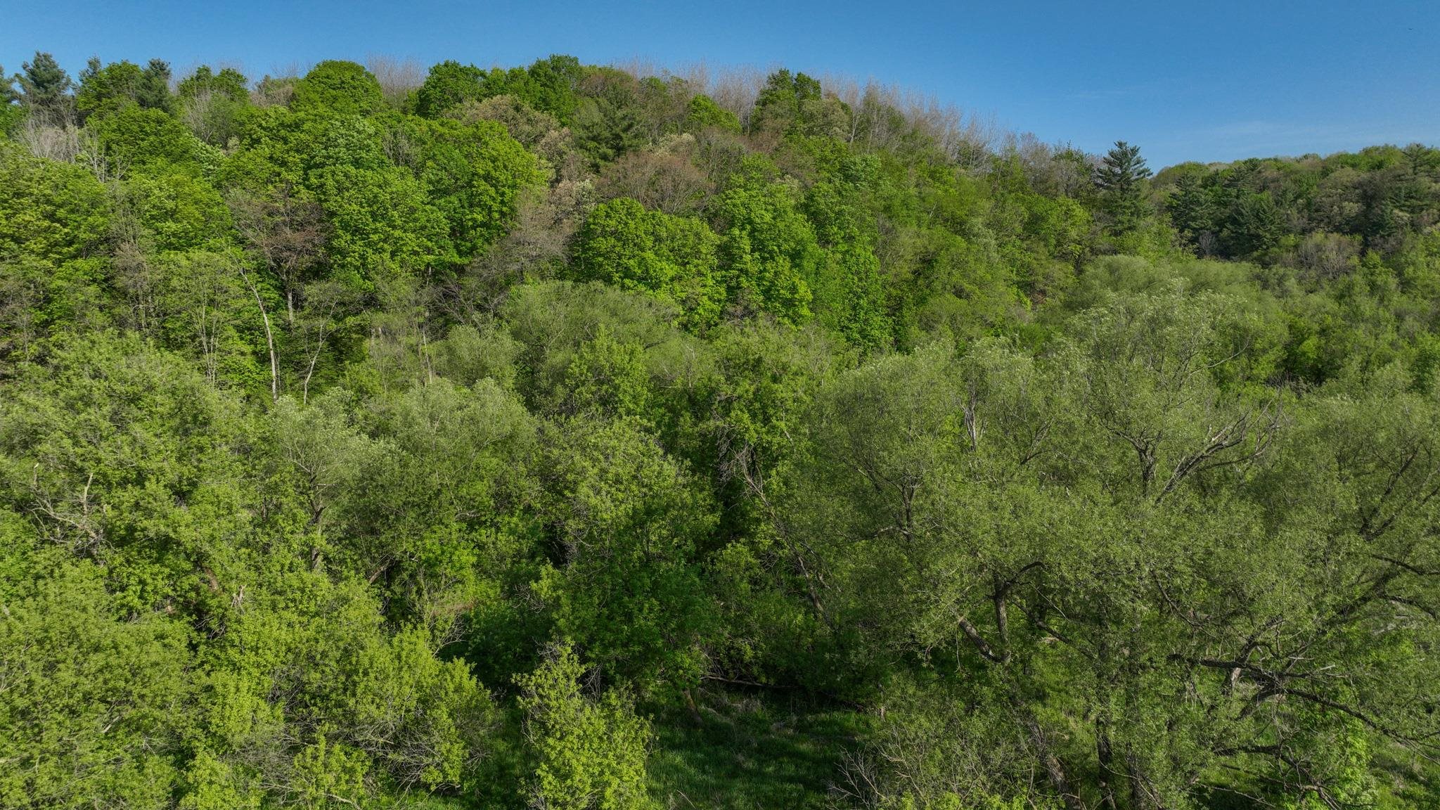 N971 Pekala Road