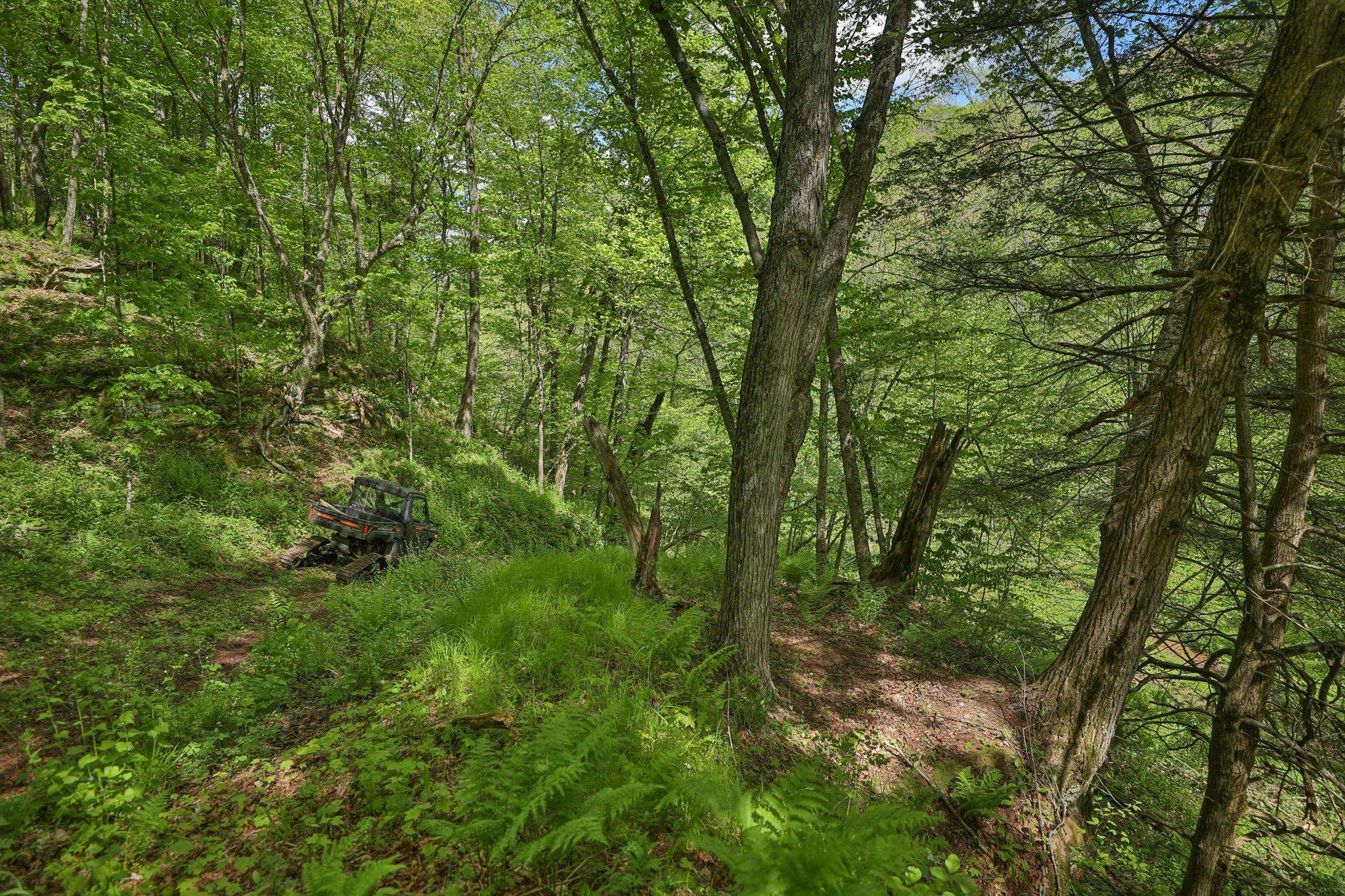 N971 Pekala Road
