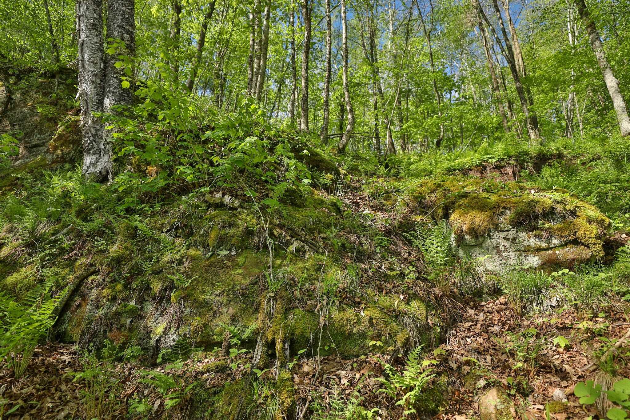 N971 Pekala Road