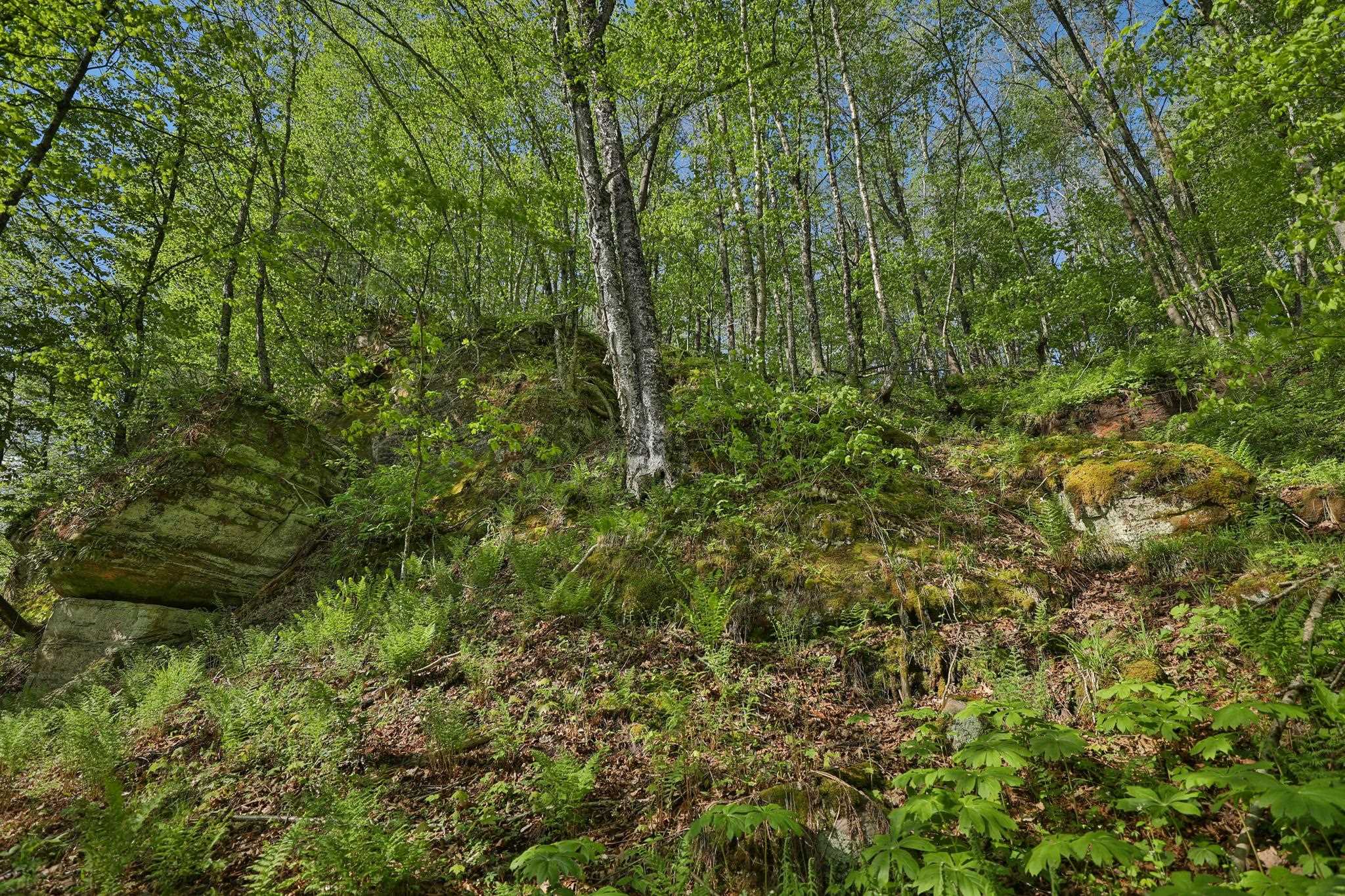 N971 Pekala Road