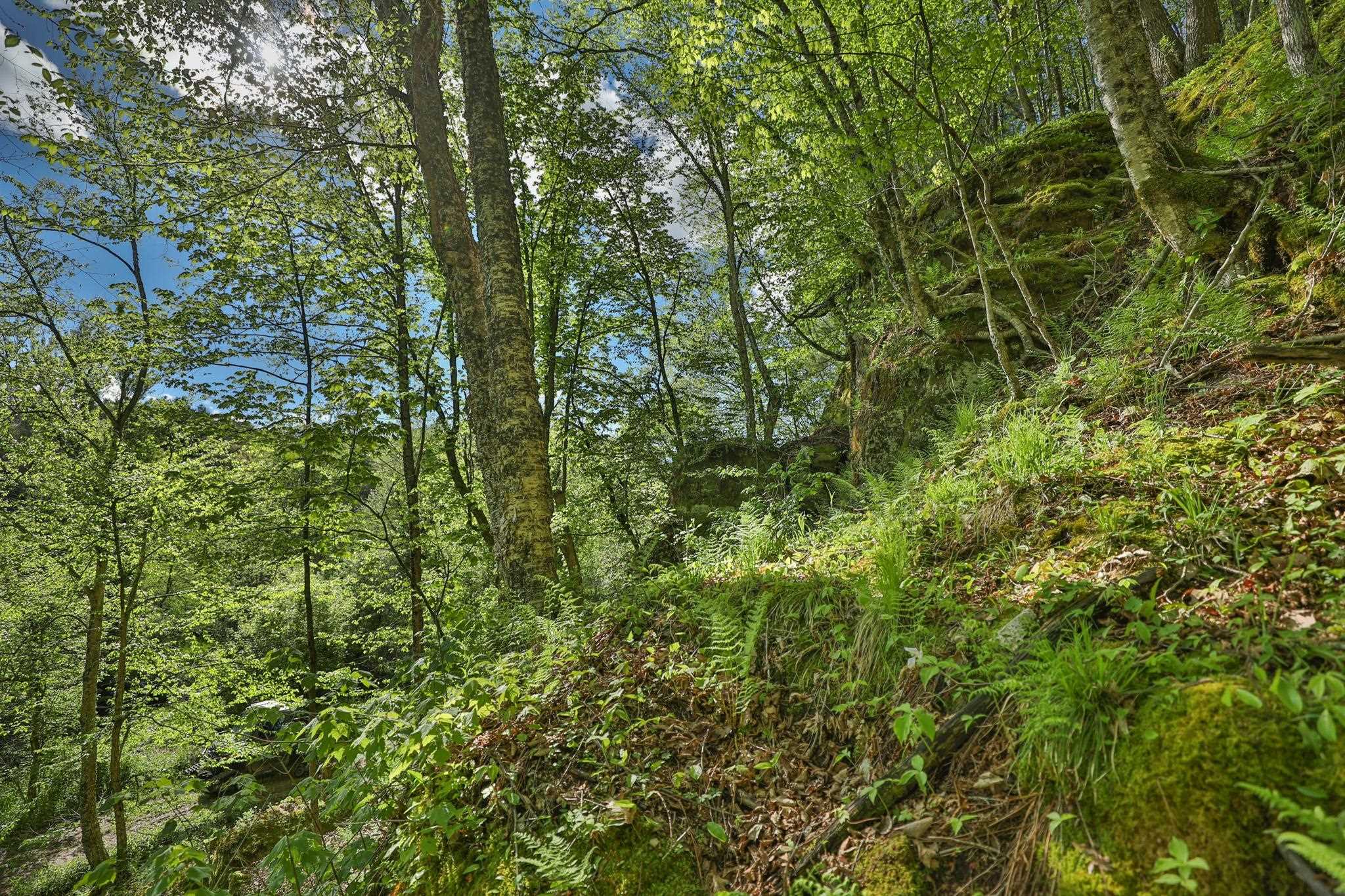 N971 Pekala Road