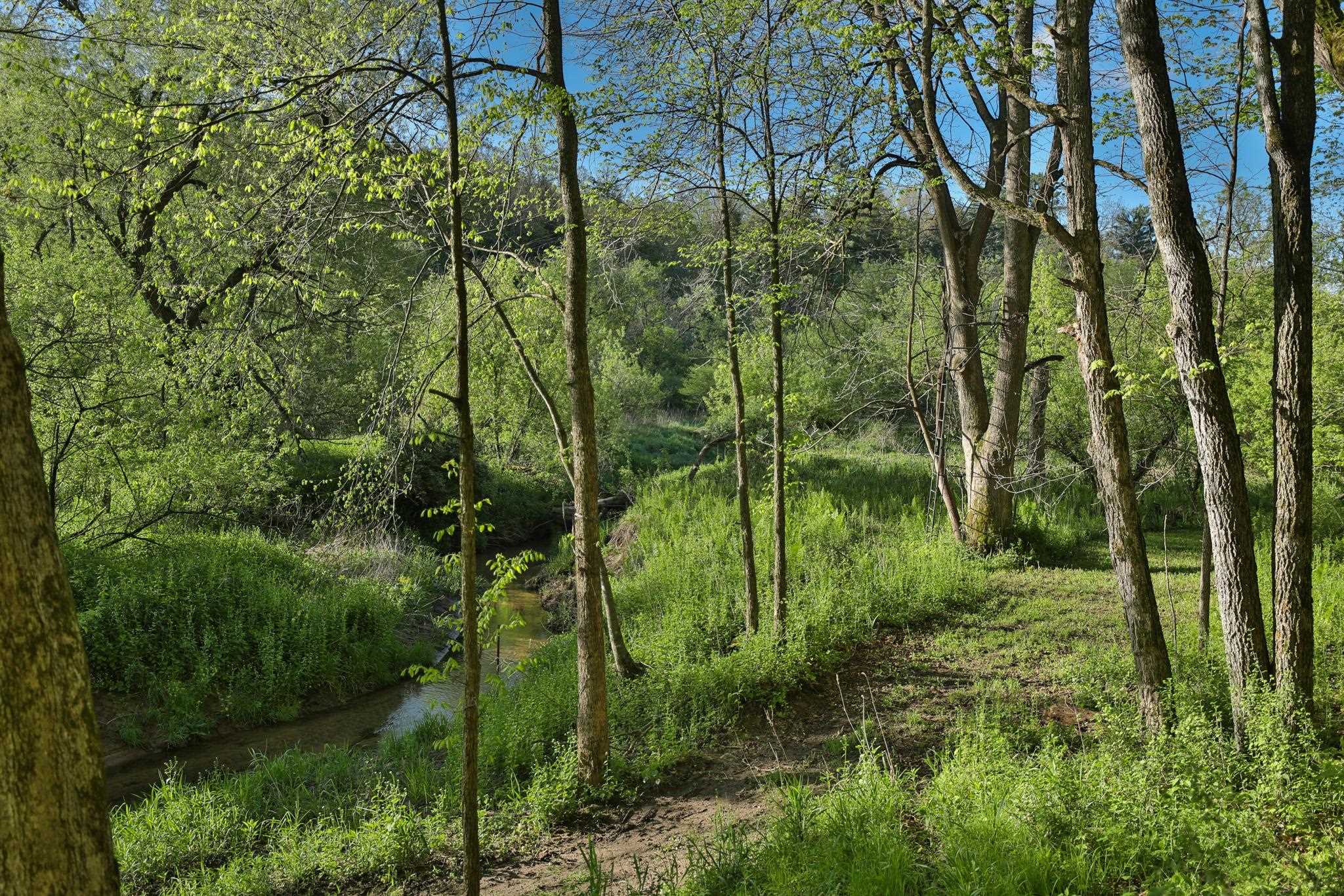 N971 Pekala Road