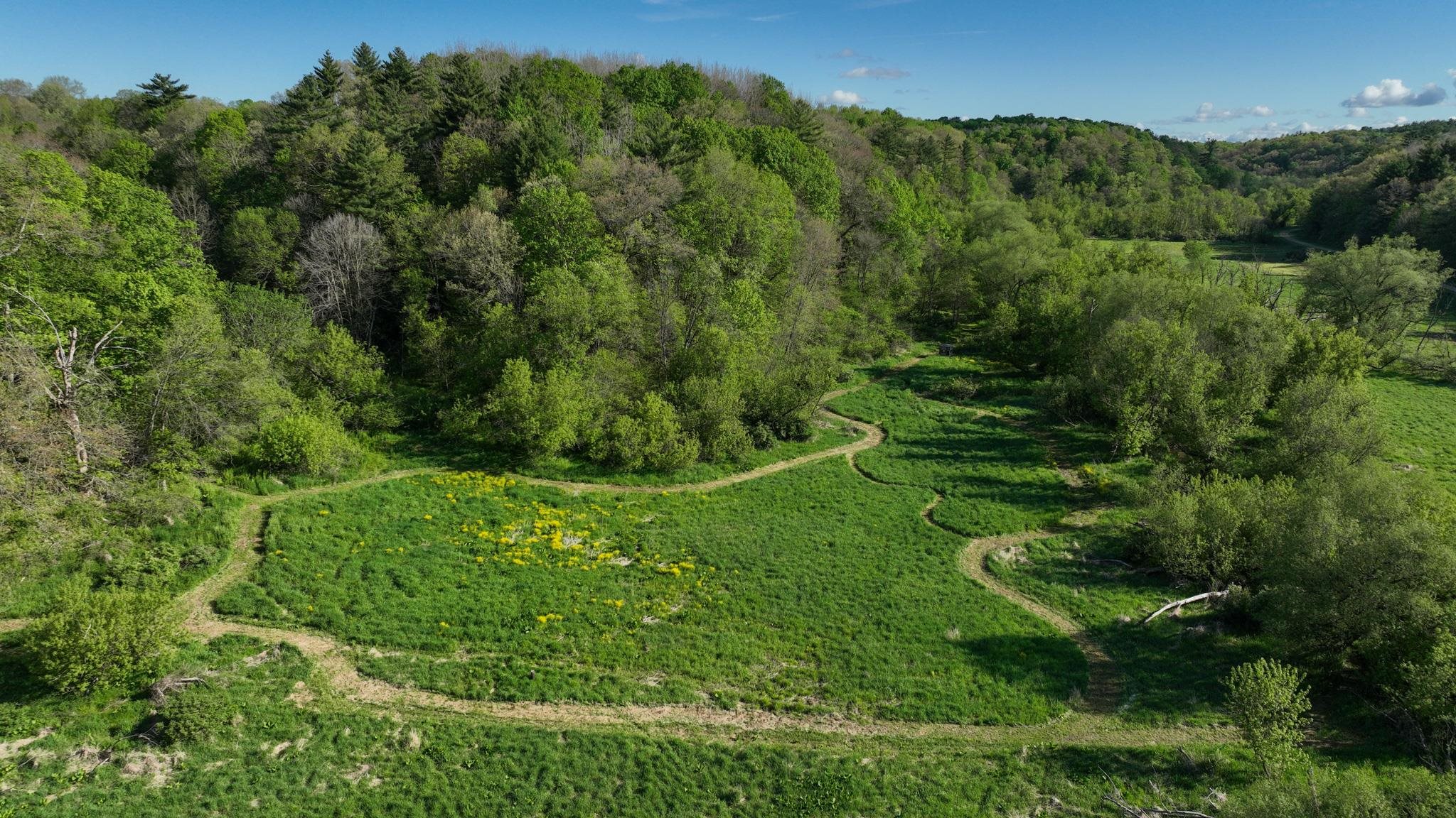 N971 Pekala Road