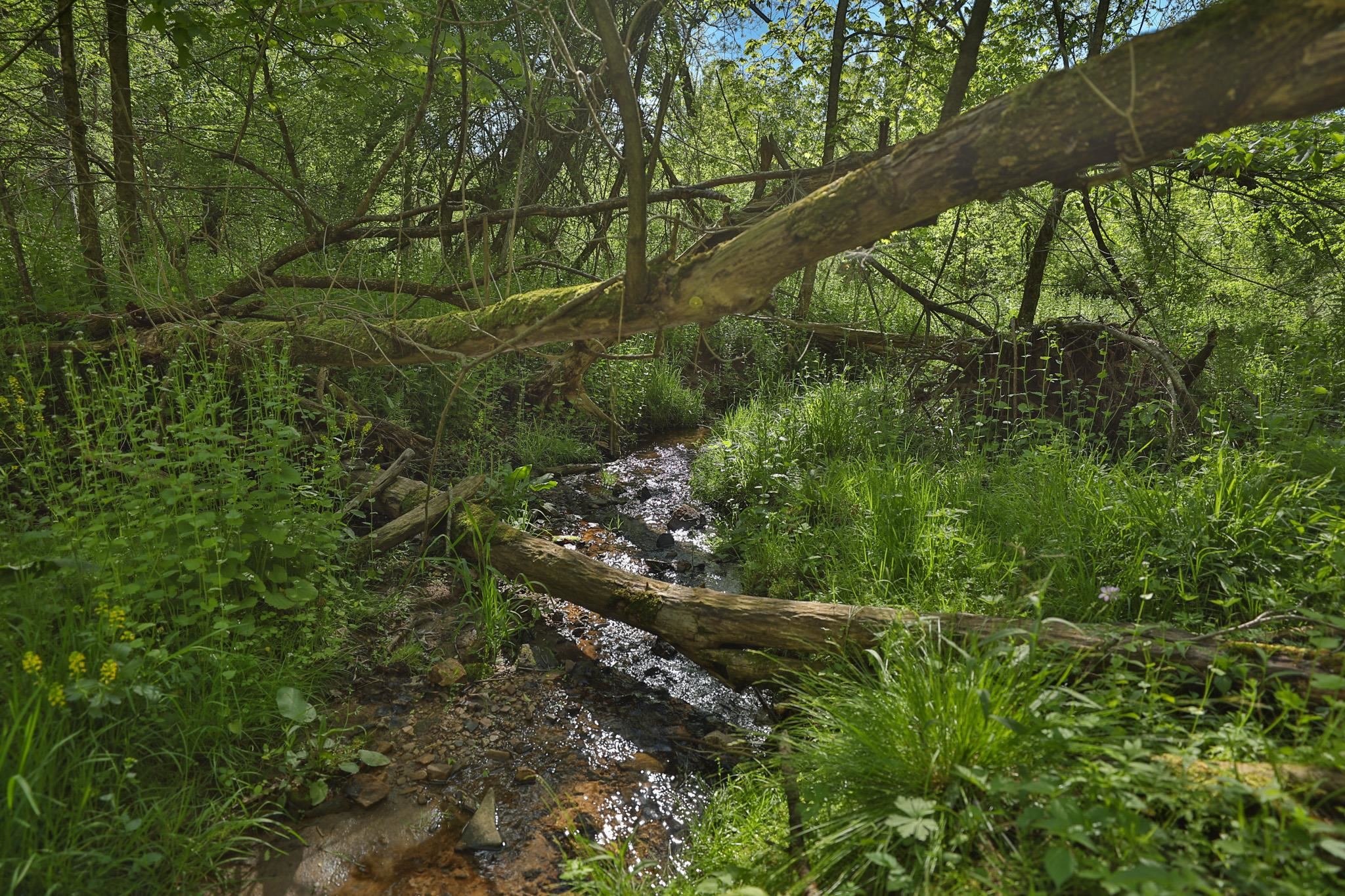N971 Pekala Road