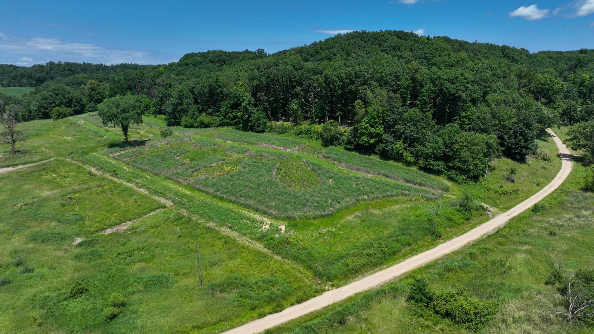77.85 AC Pine Avenue