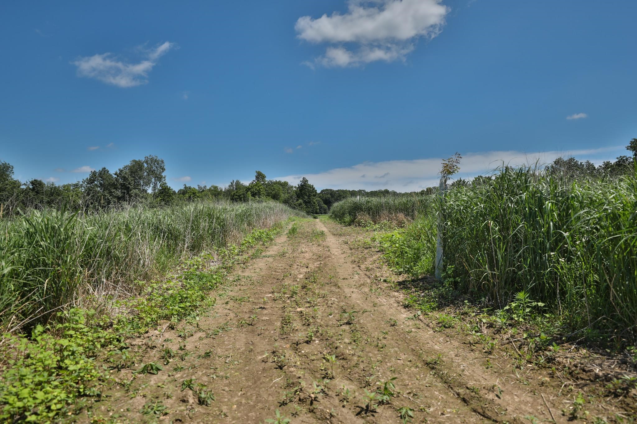 77.85 AC Pine Avenue