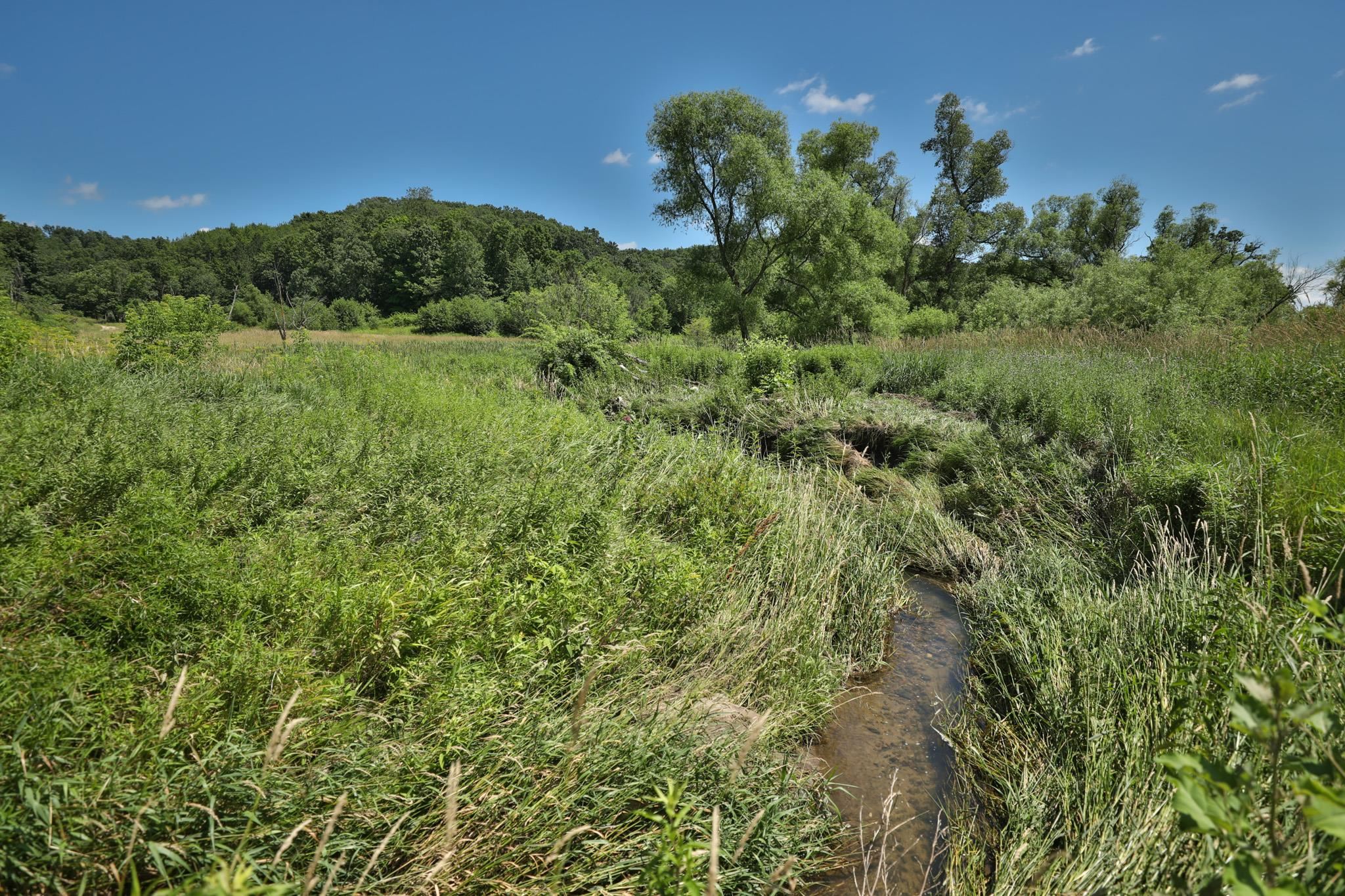 77.85 AC Pine Avenue