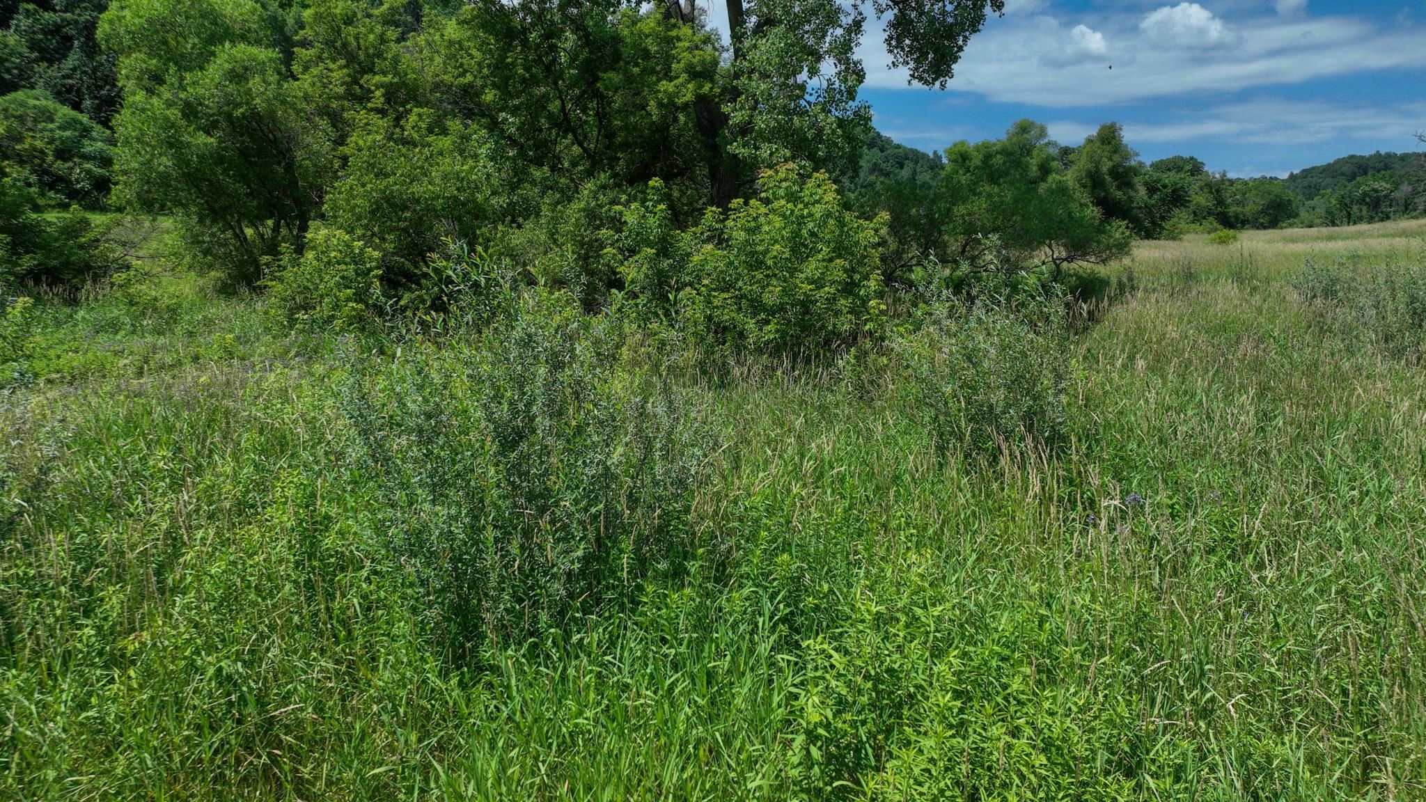 77.85 AC Pine Avenue