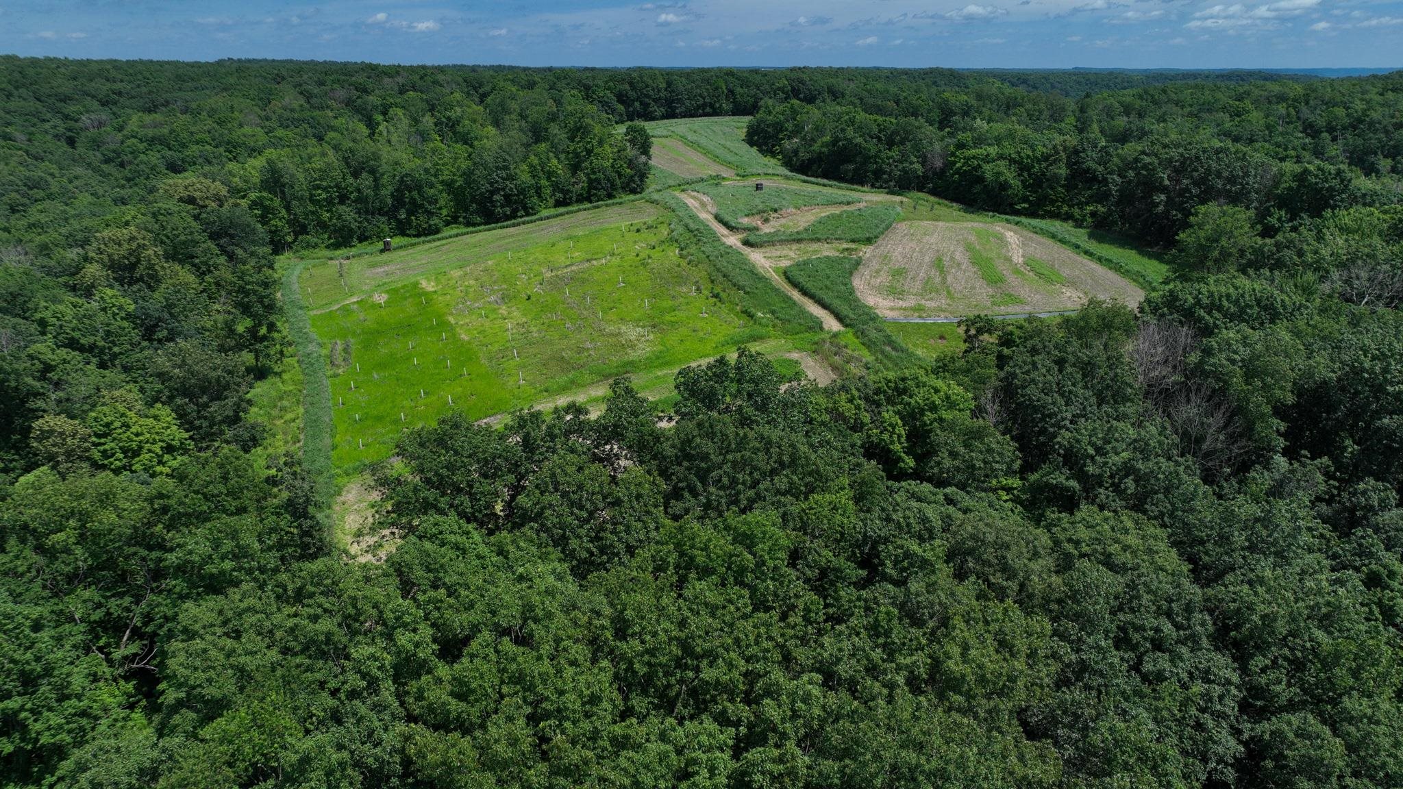 77.85 AC Pine Avenue