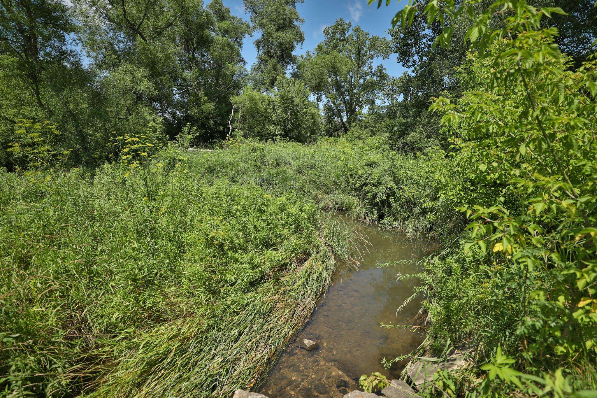 77.85 AC Pine Avenue