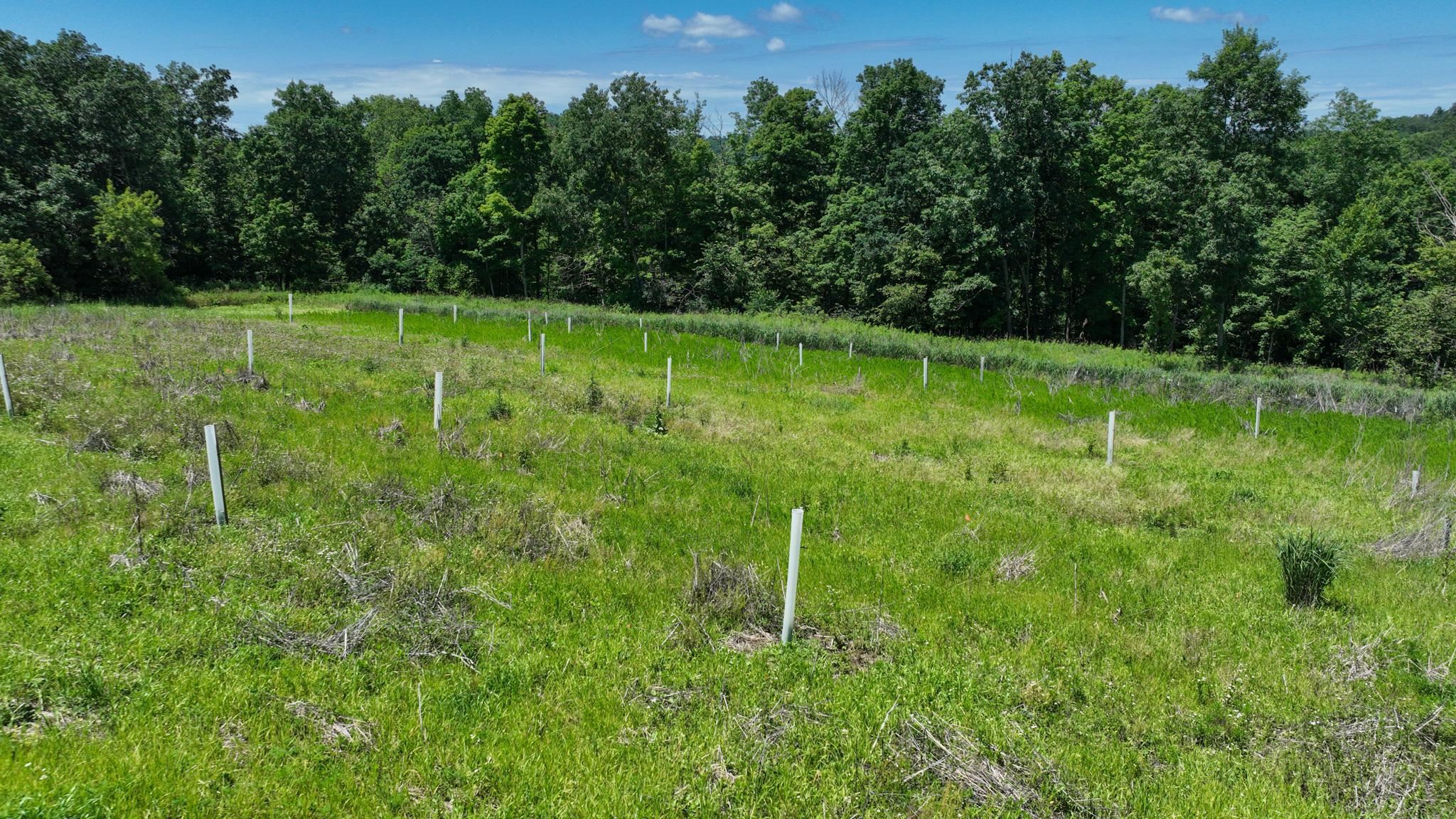 77.85 AC Pine Avenue