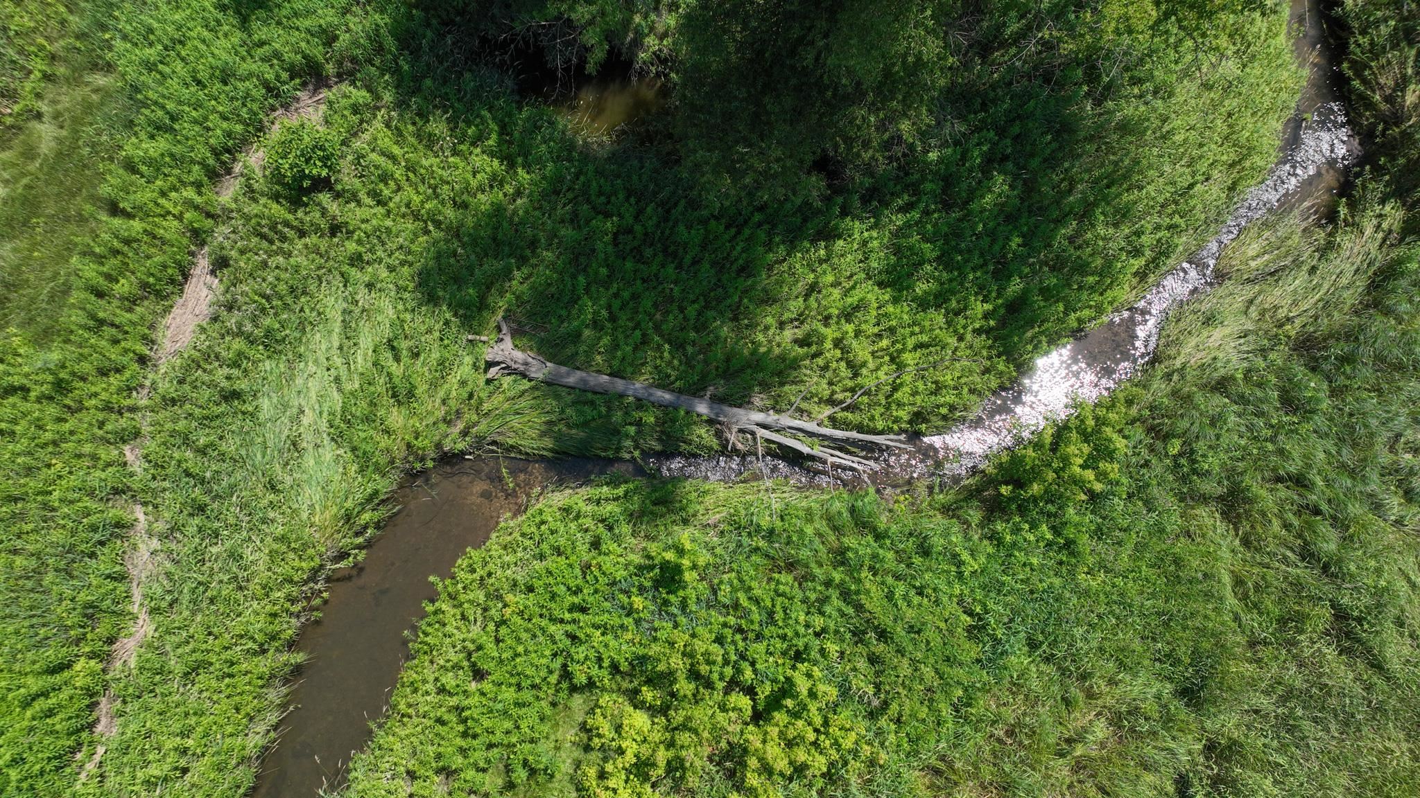 77.85 AC Pine Avenue