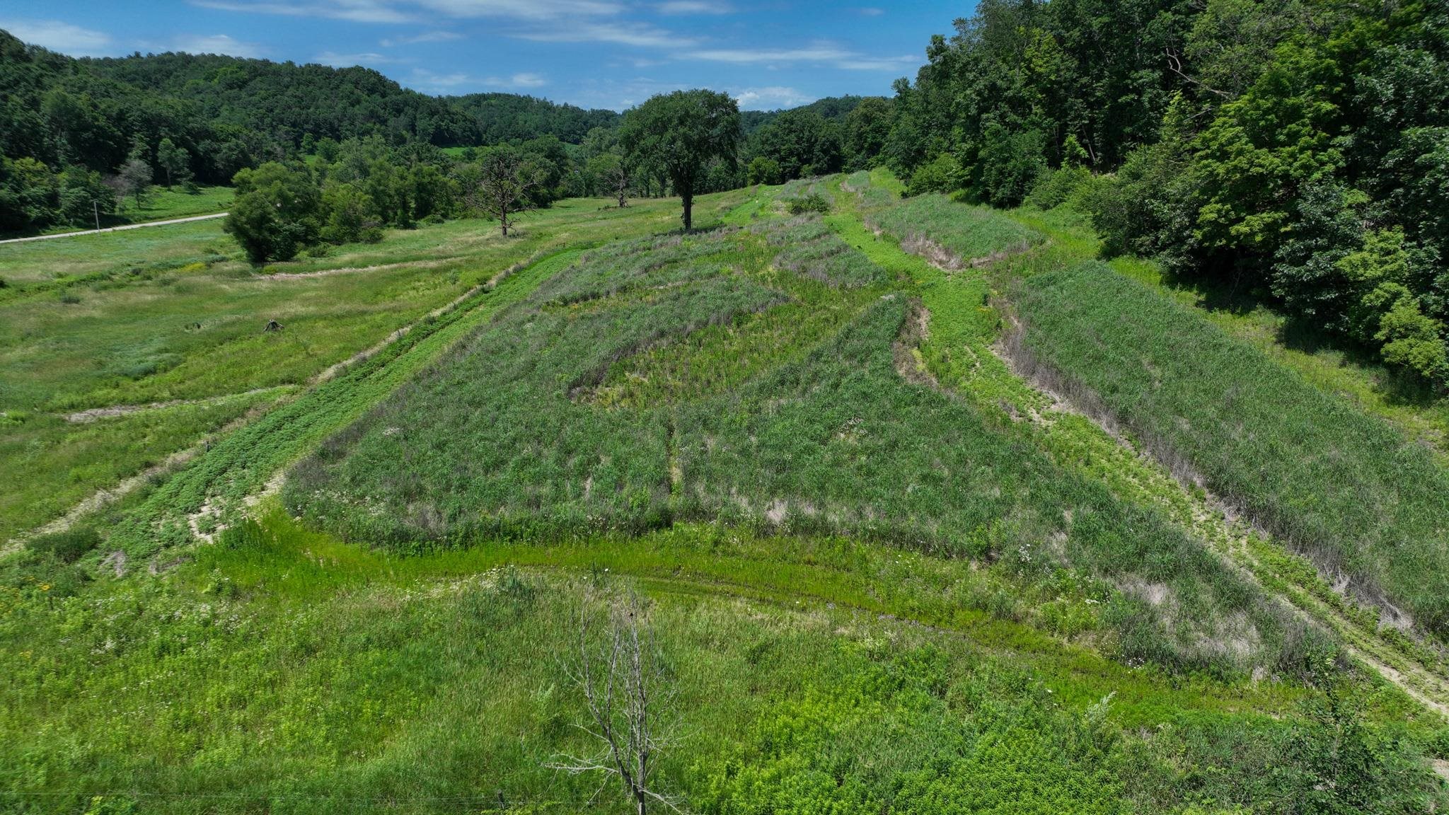 77.85 AC Pine Avenue