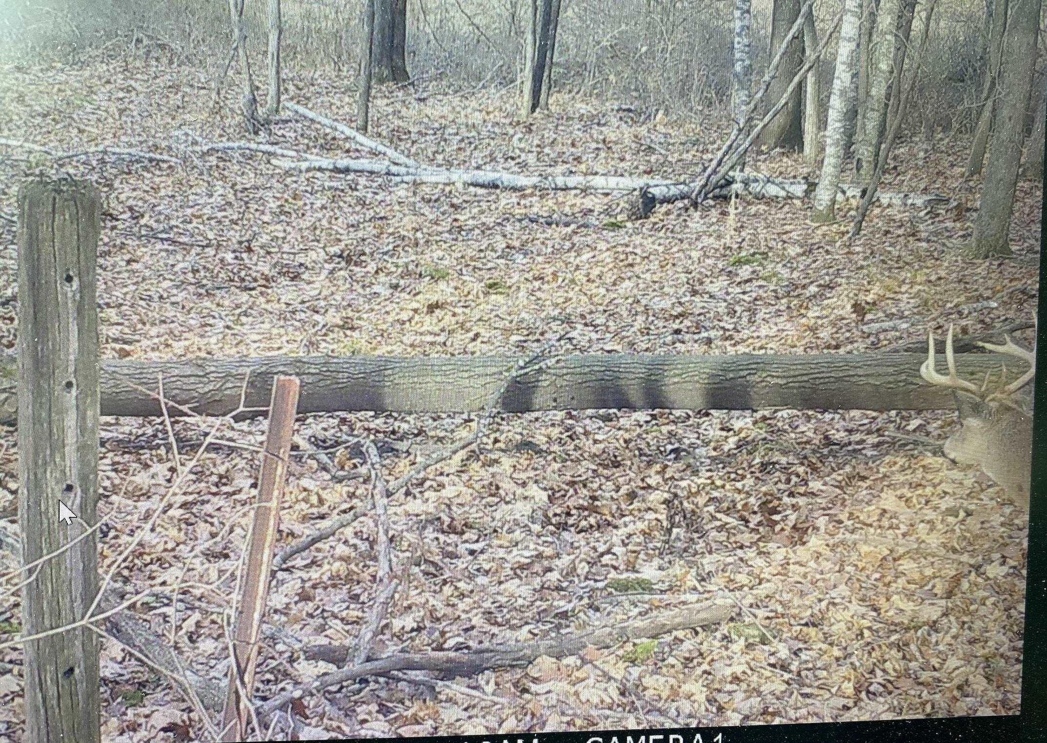 77.85 AC Pine Avenue