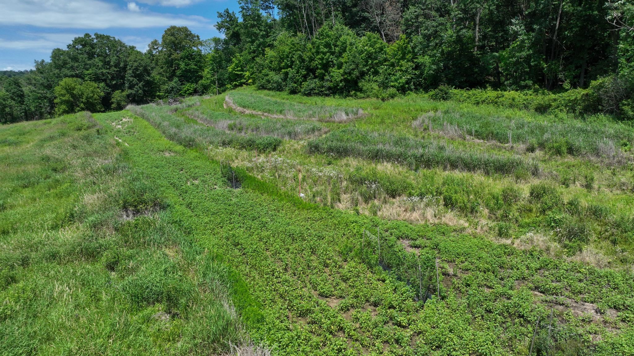 77.85 AC Pine Avenue