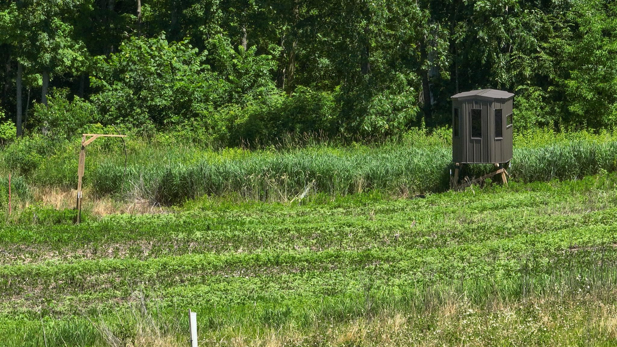 77.85 AC Pine Avenue