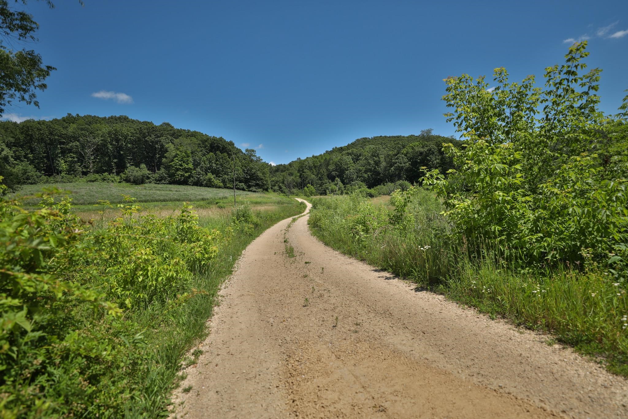 77.85 AC Pine Avenue
