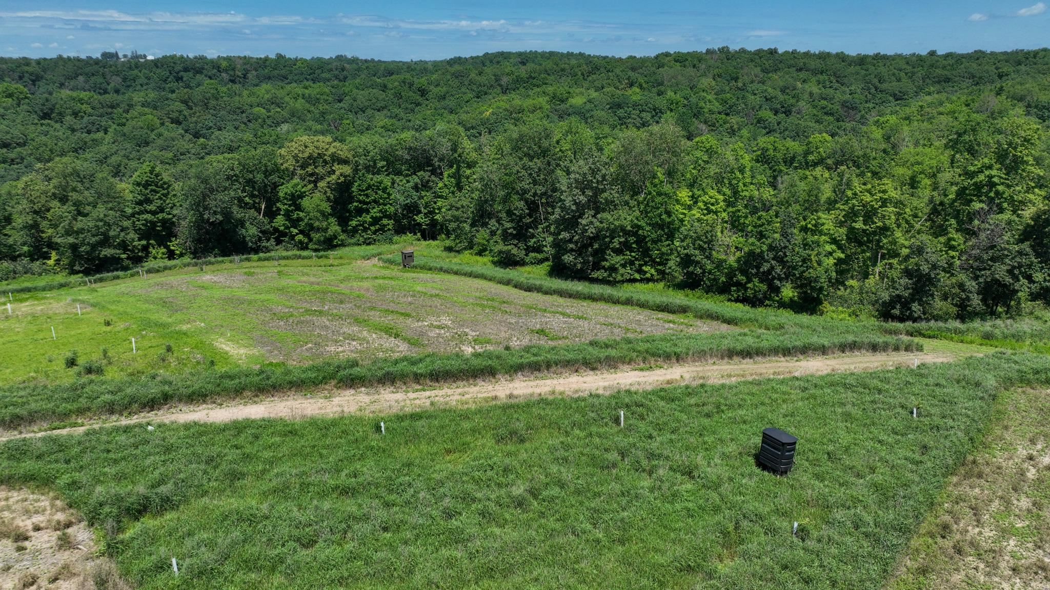 77.85 AC Pine Avenue