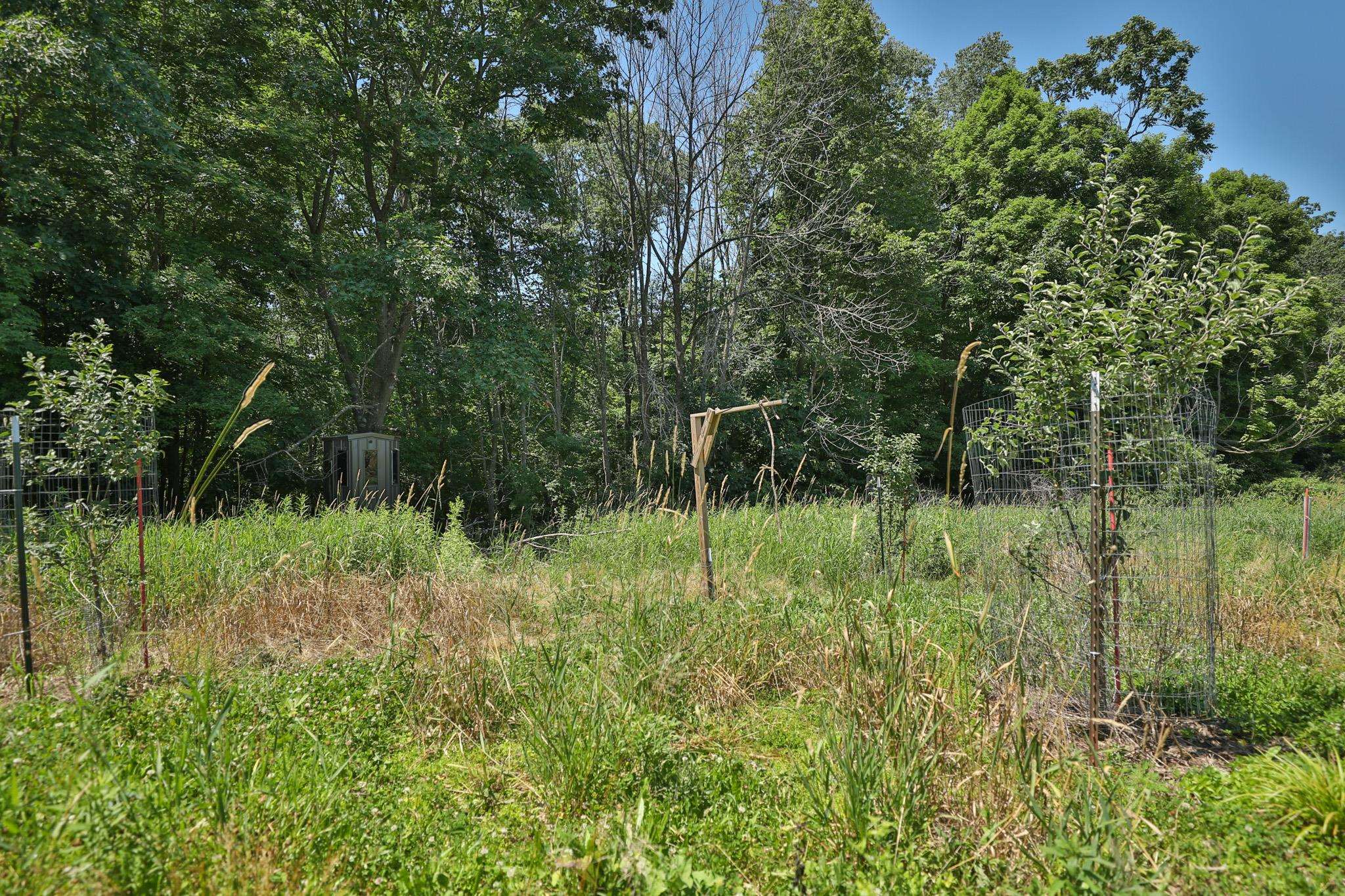 77.85 AC Pine Avenue