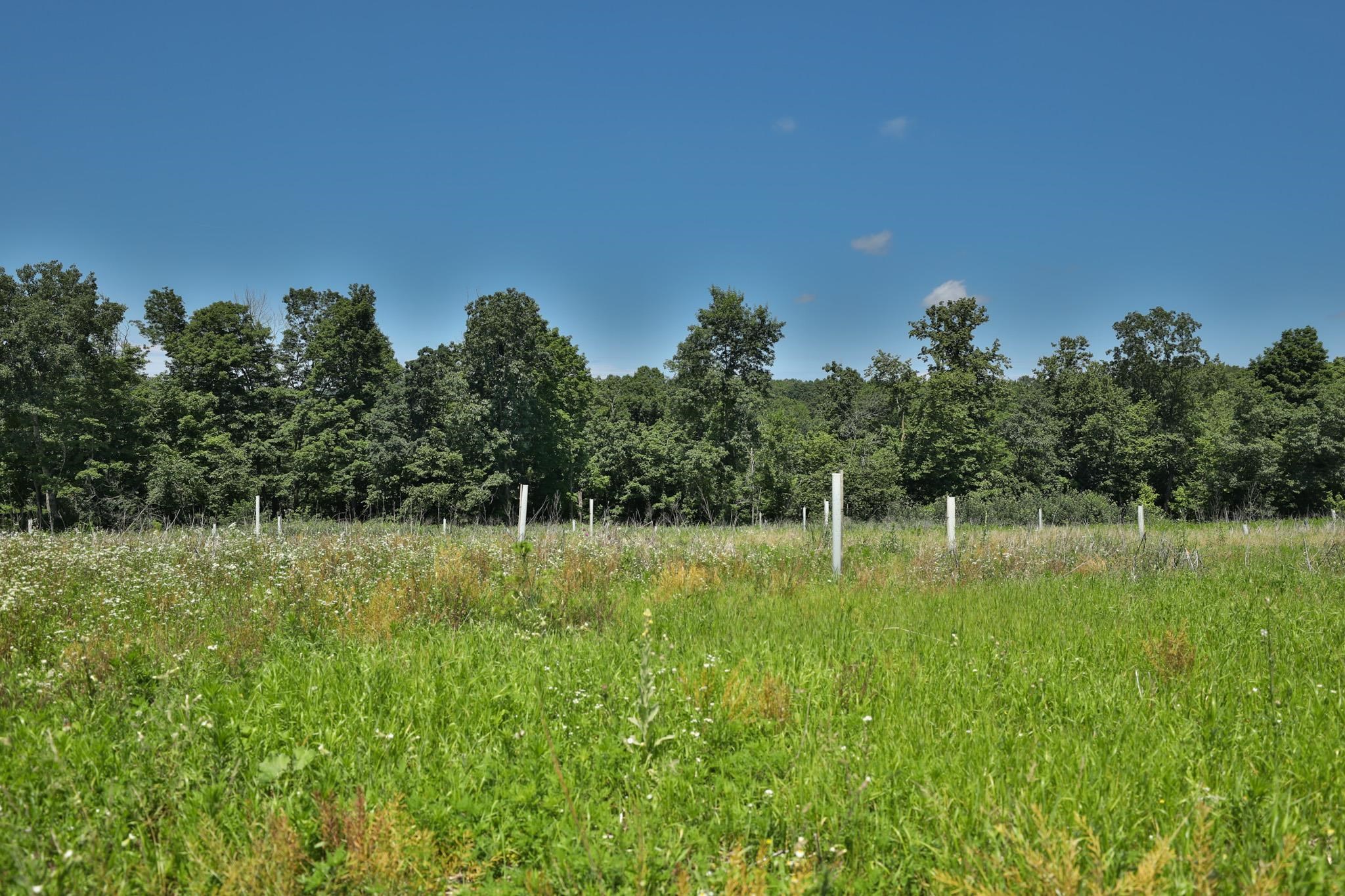 77.85 AC Pine Avenue