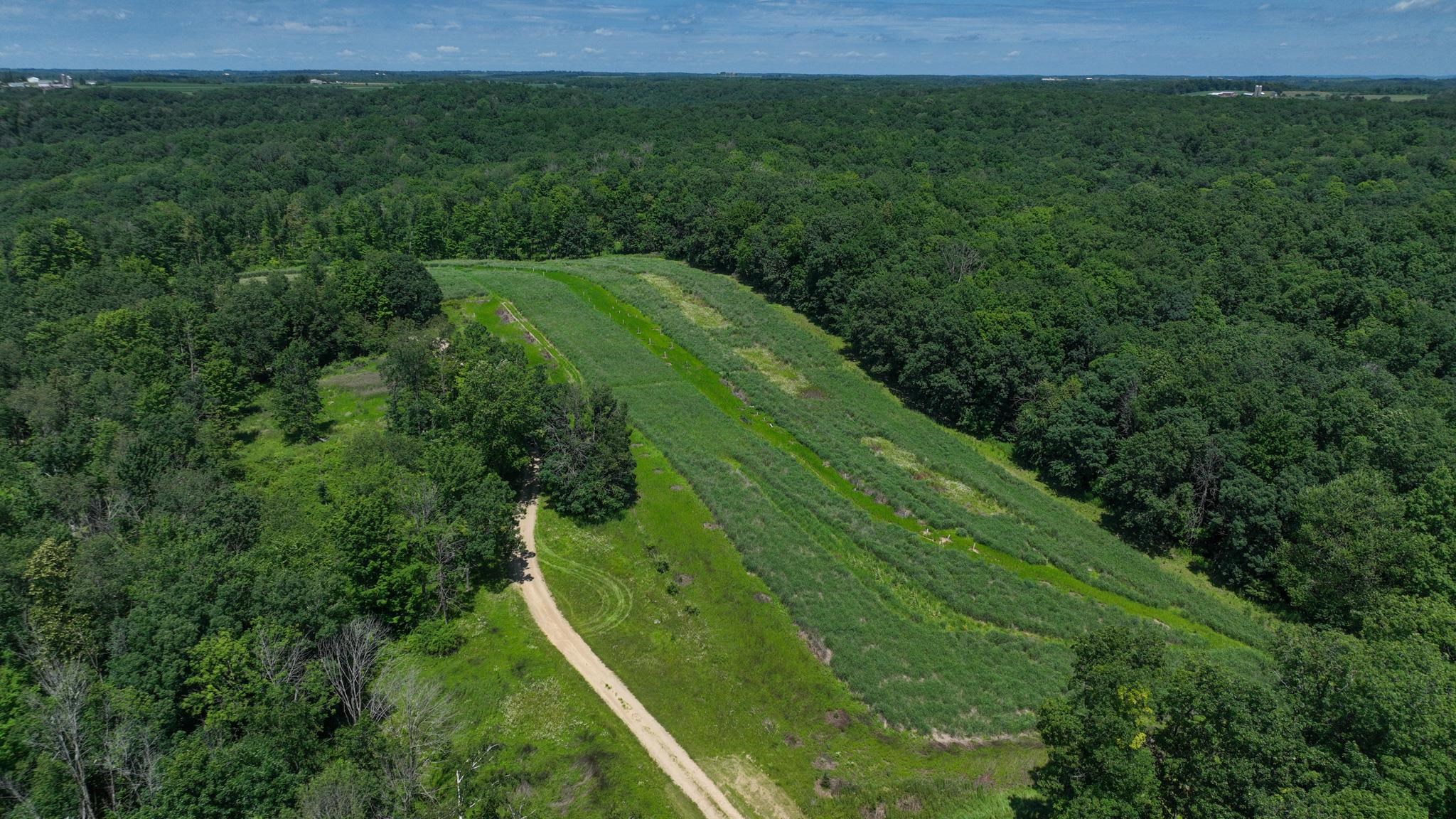 77.85 AC Pine Avenue