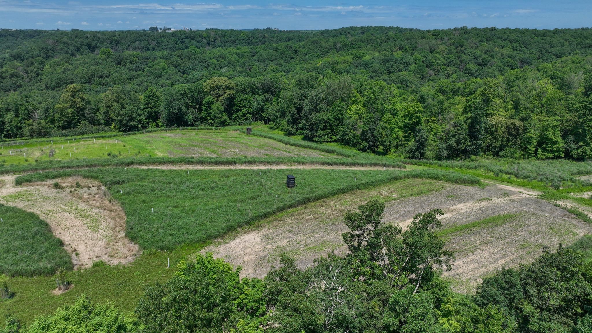 77.85 AC Pine Avenue