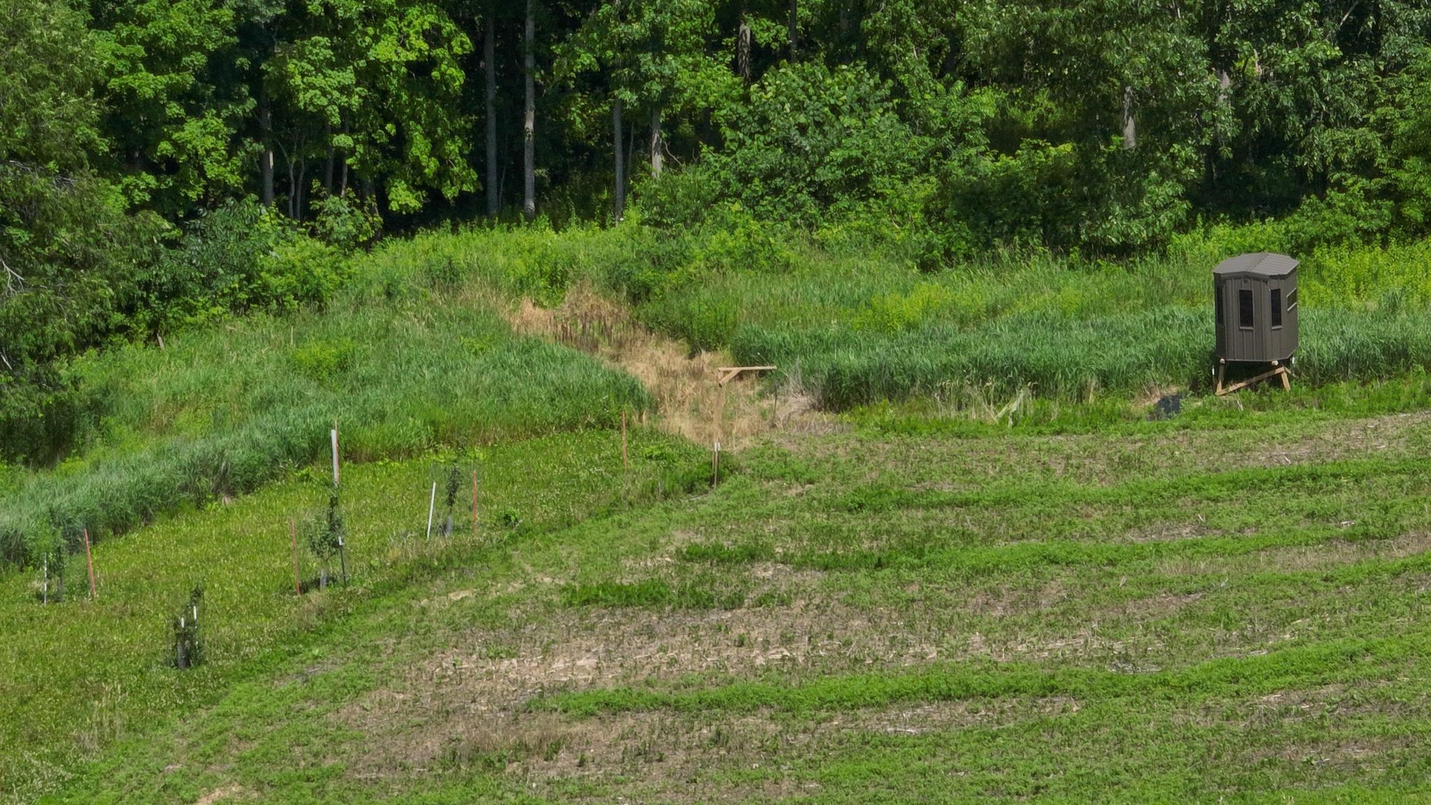 77.85 AC Pine Avenue