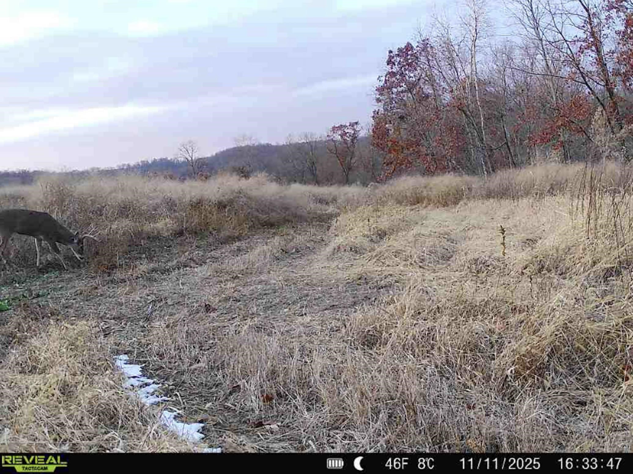 77.85 AC Pine Avenue
