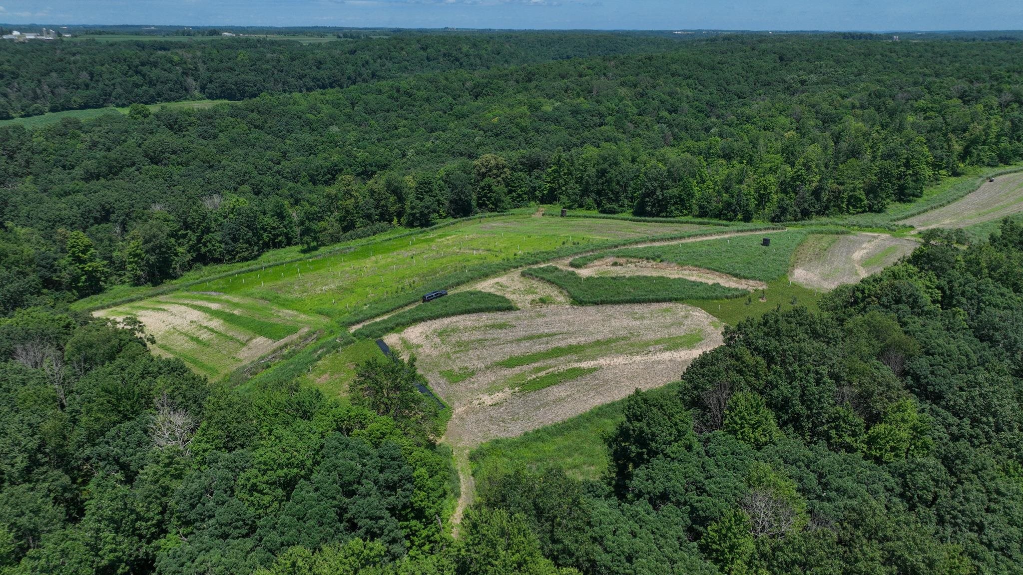 77.85 AC Pine Avenue