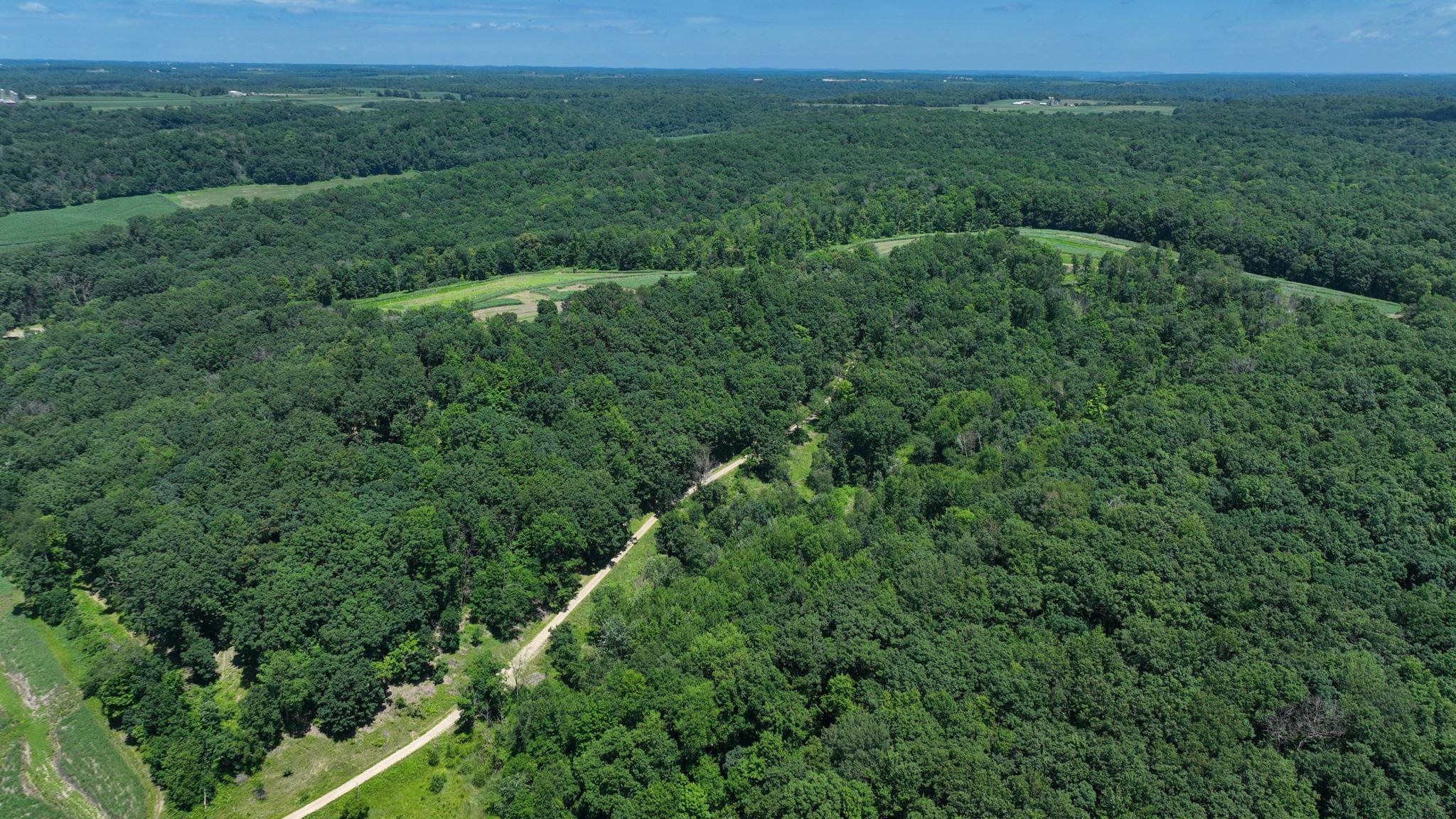 77.85 AC Pine Avenue