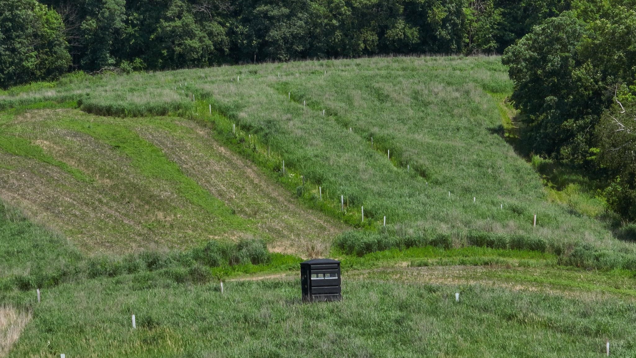 77.85 AC Pine Avenue
