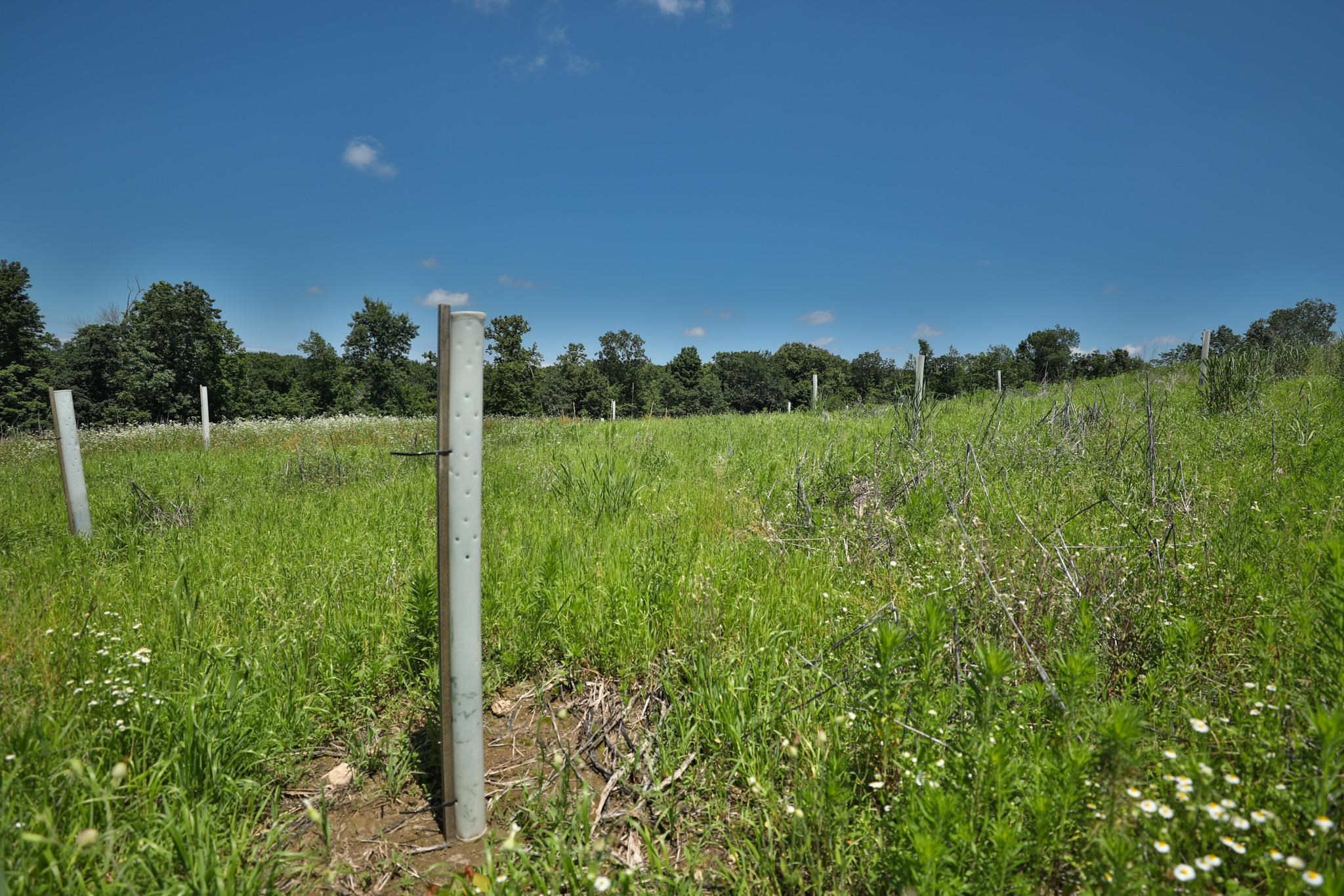 77.85 AC Pine Avenue