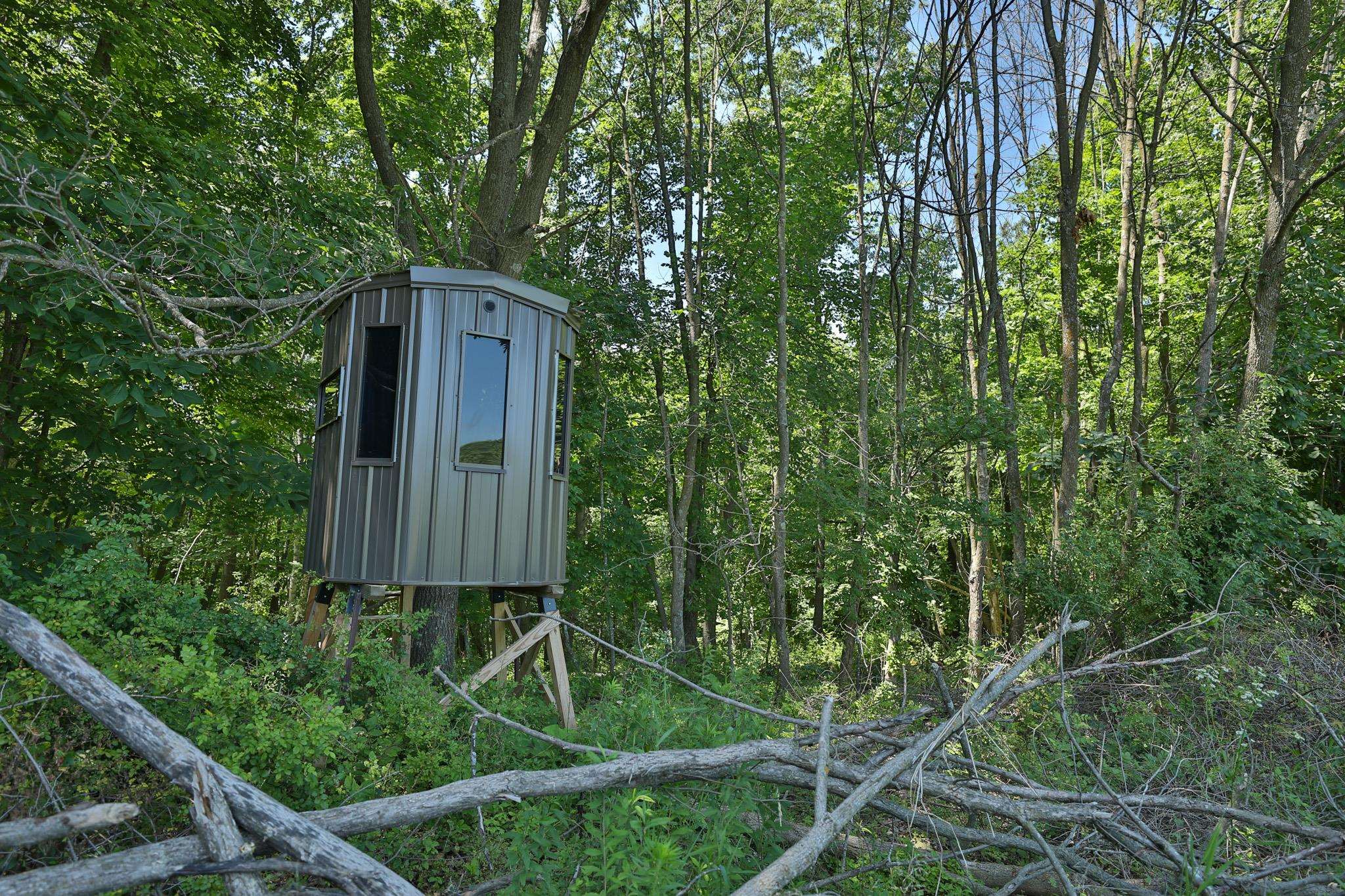 77.85 AC Pine Avenue