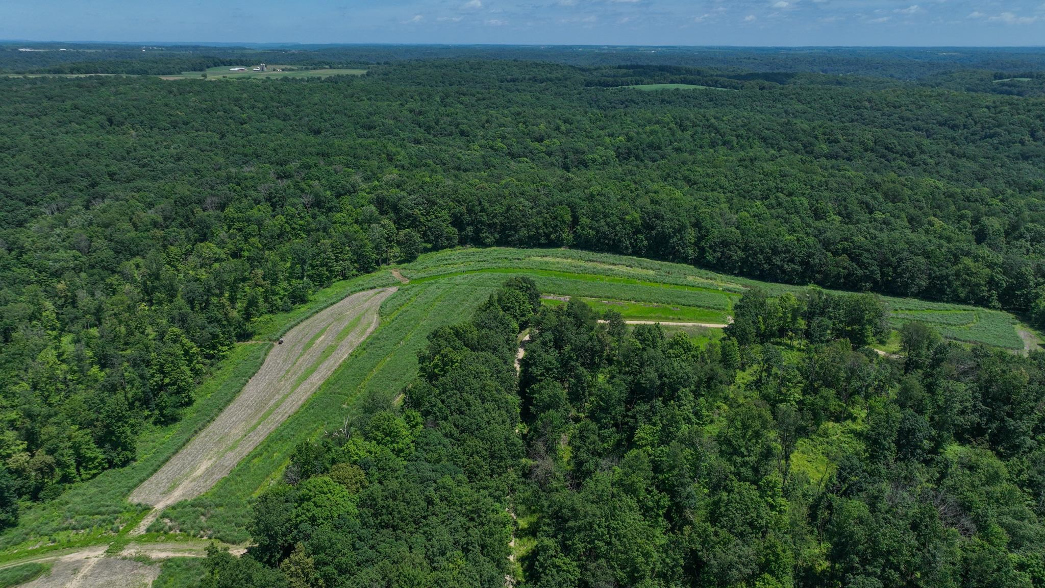 77.85 AC Pine Avenue