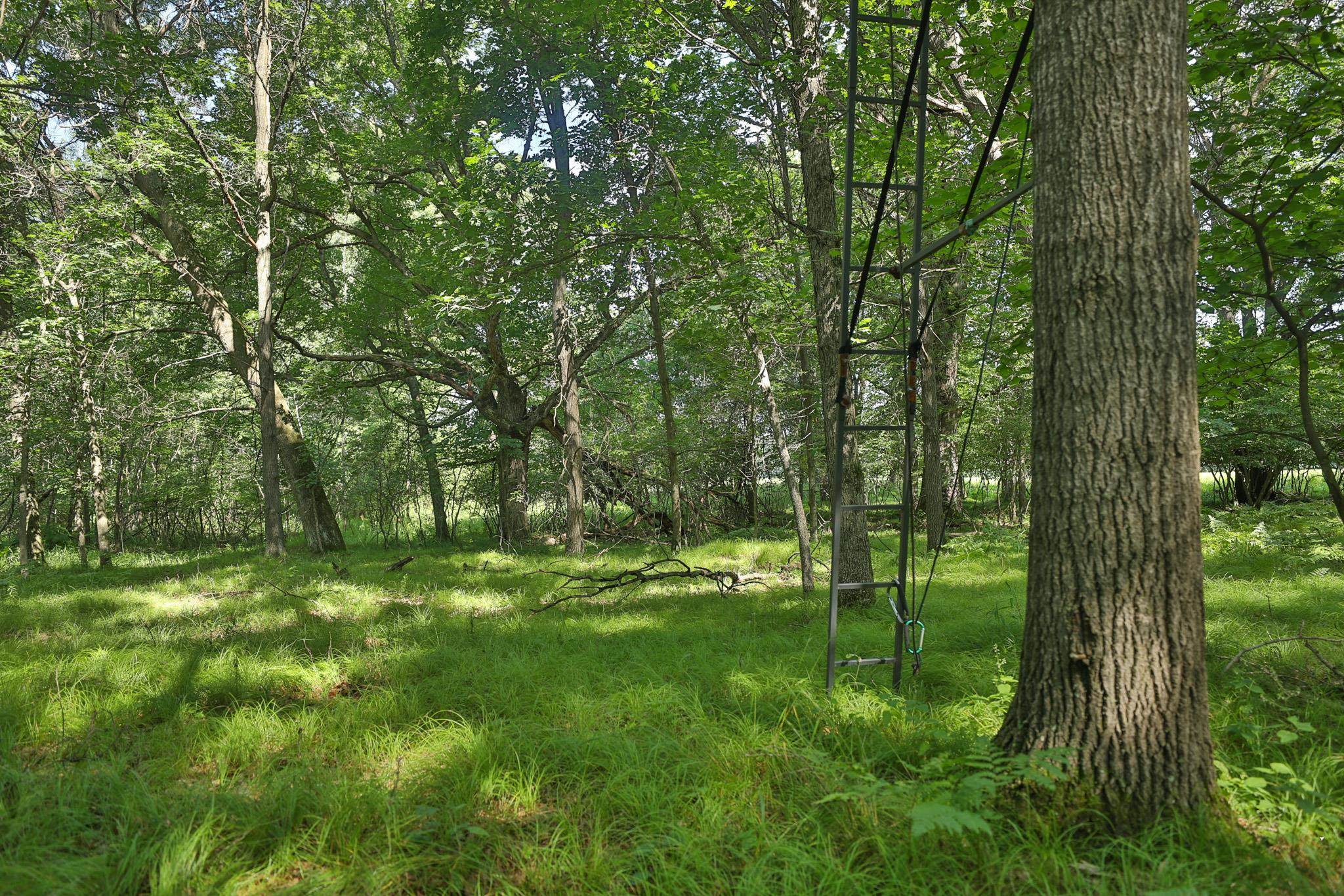 38.85 Ac County Road E