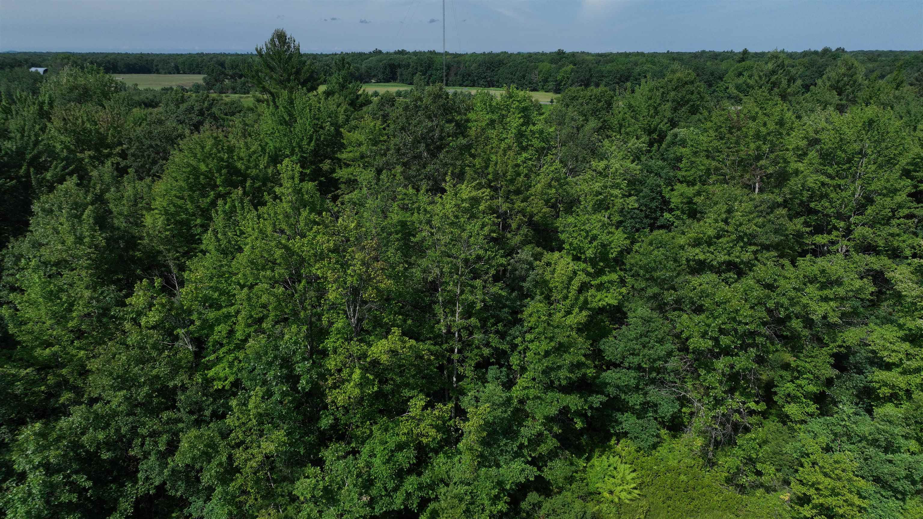 38.85 Ac County Road E