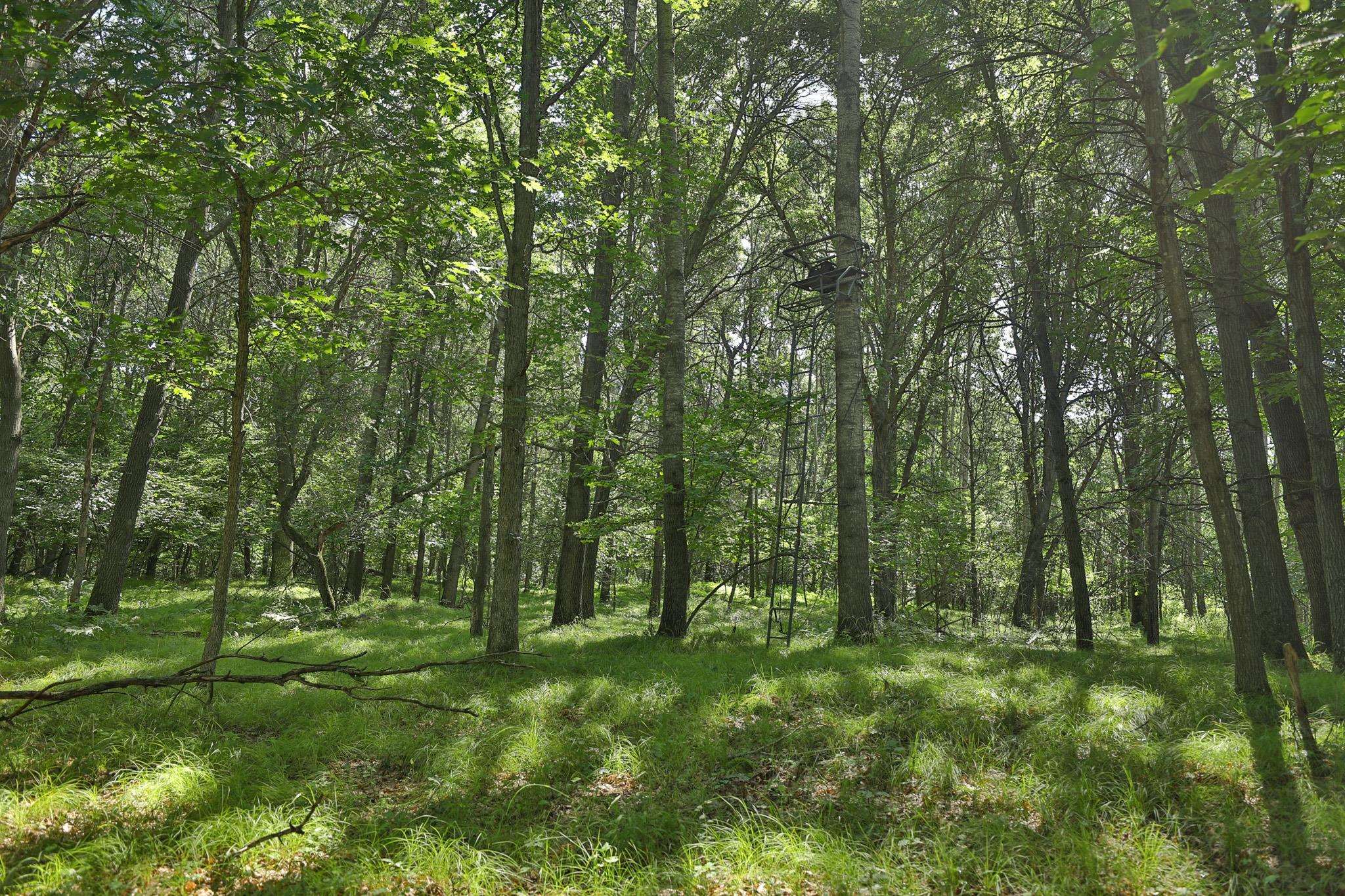 38.85 Ac County Road E
