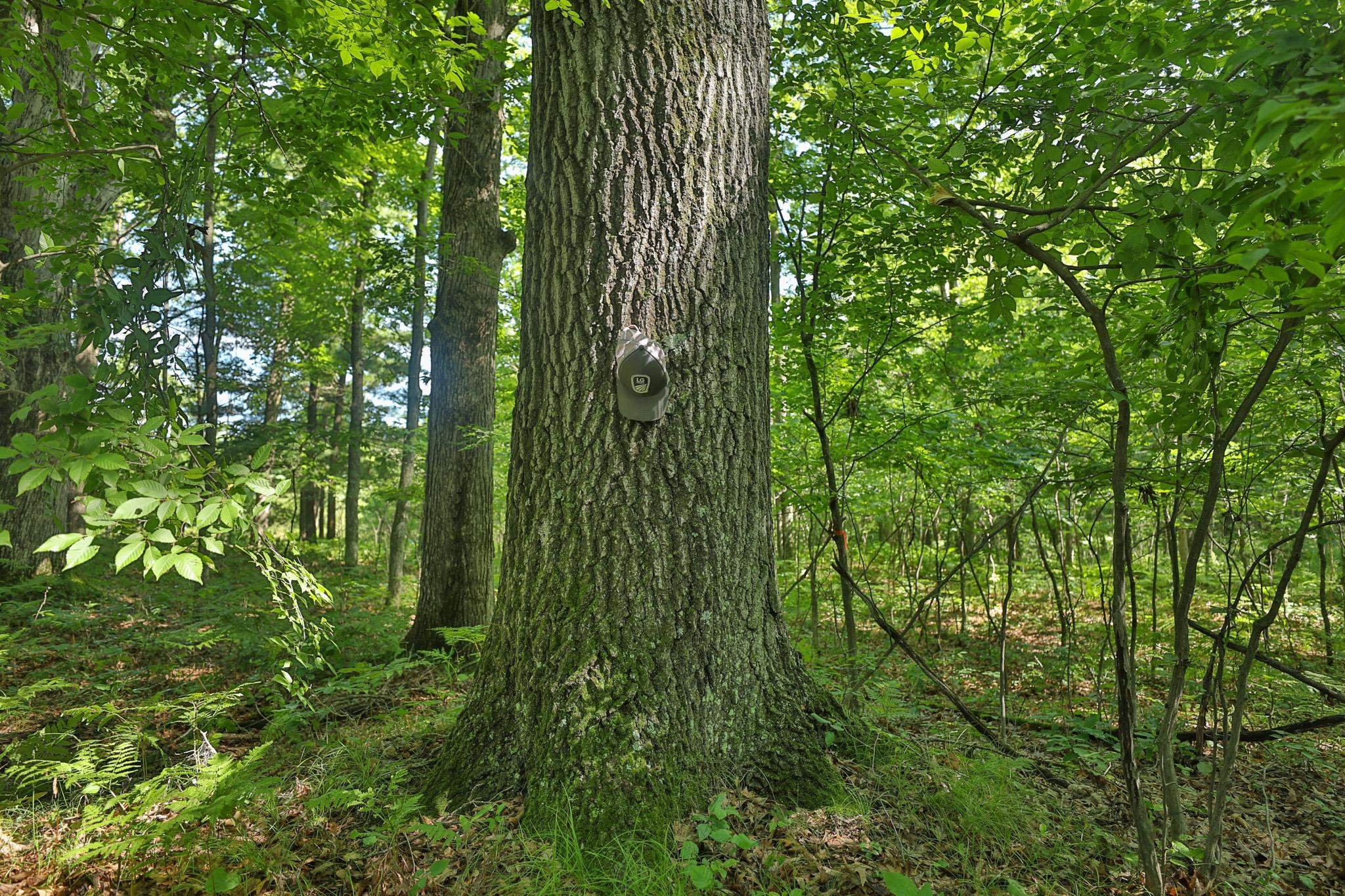 38.85 Ac County Road E
