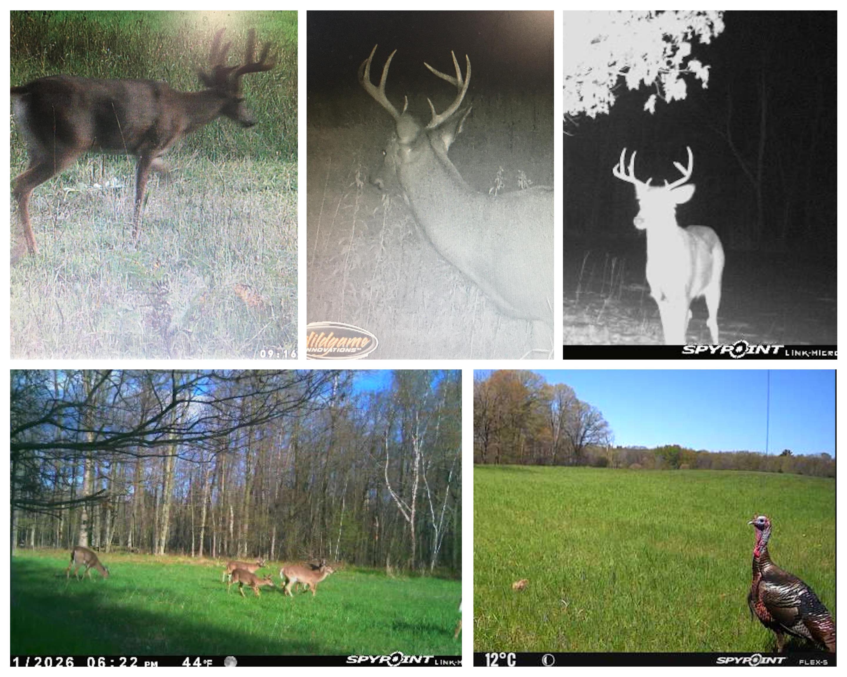 38.85 Ac County Road E