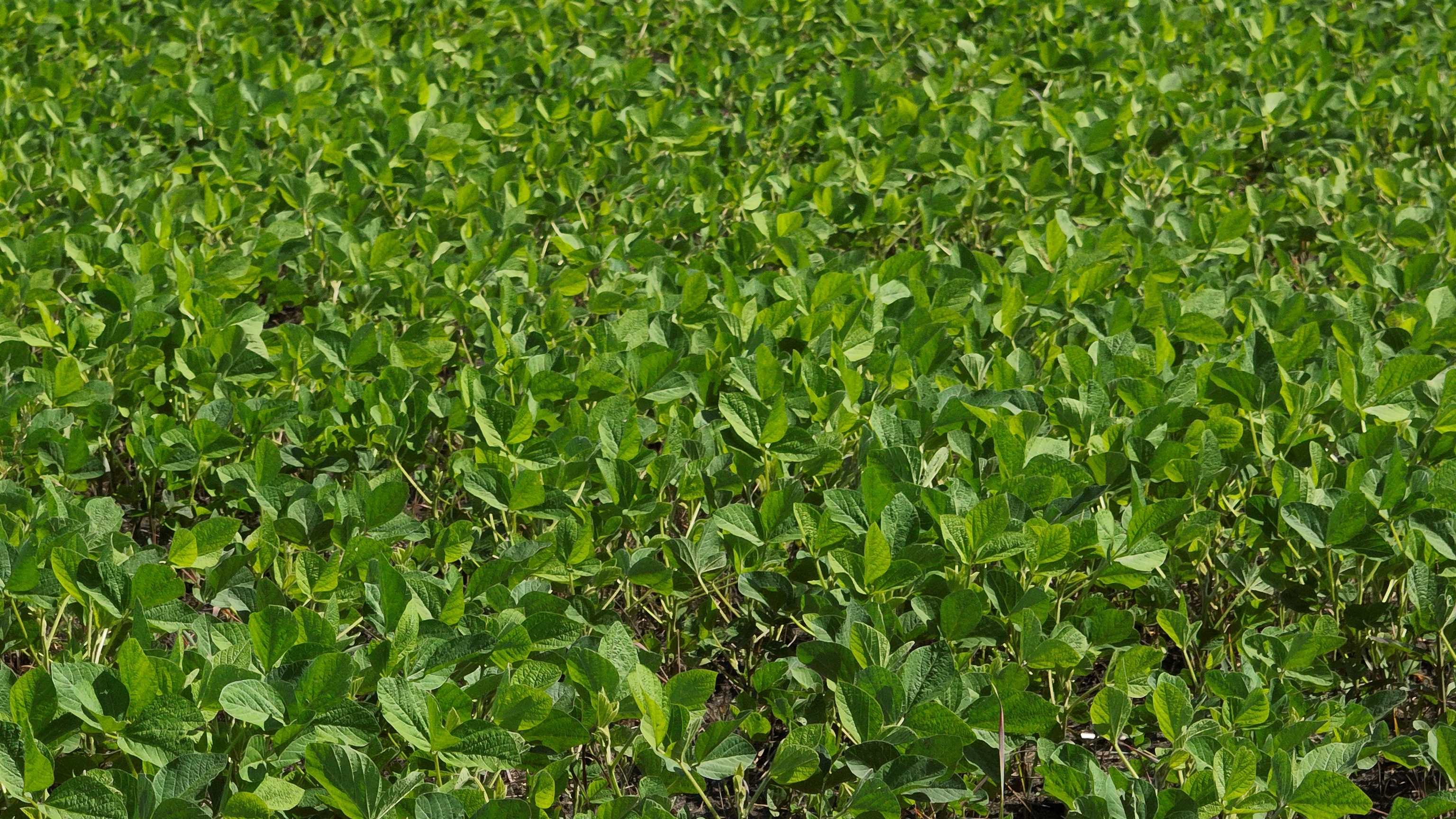38.85 Ac County Road E