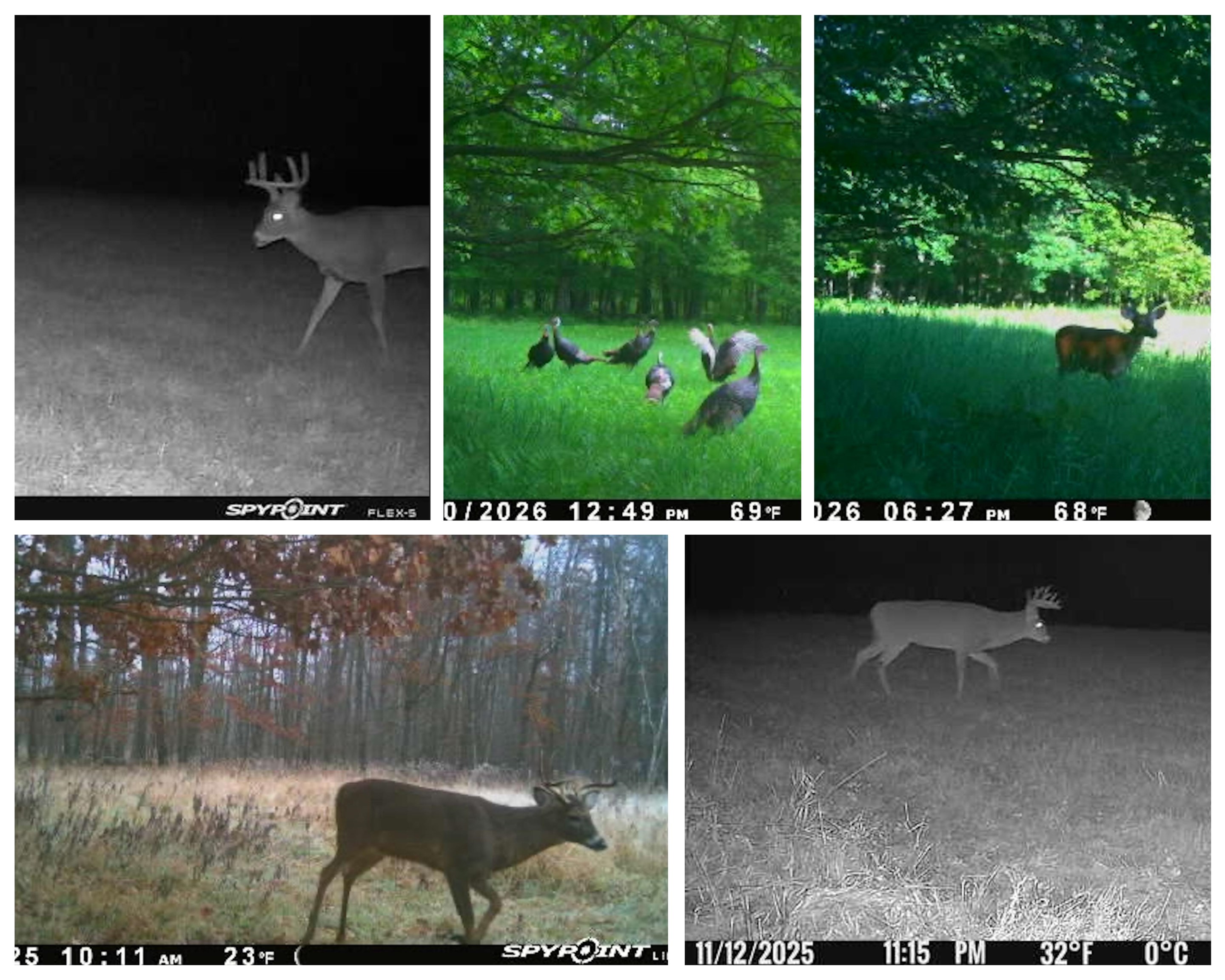 38.85 Ac County Road E