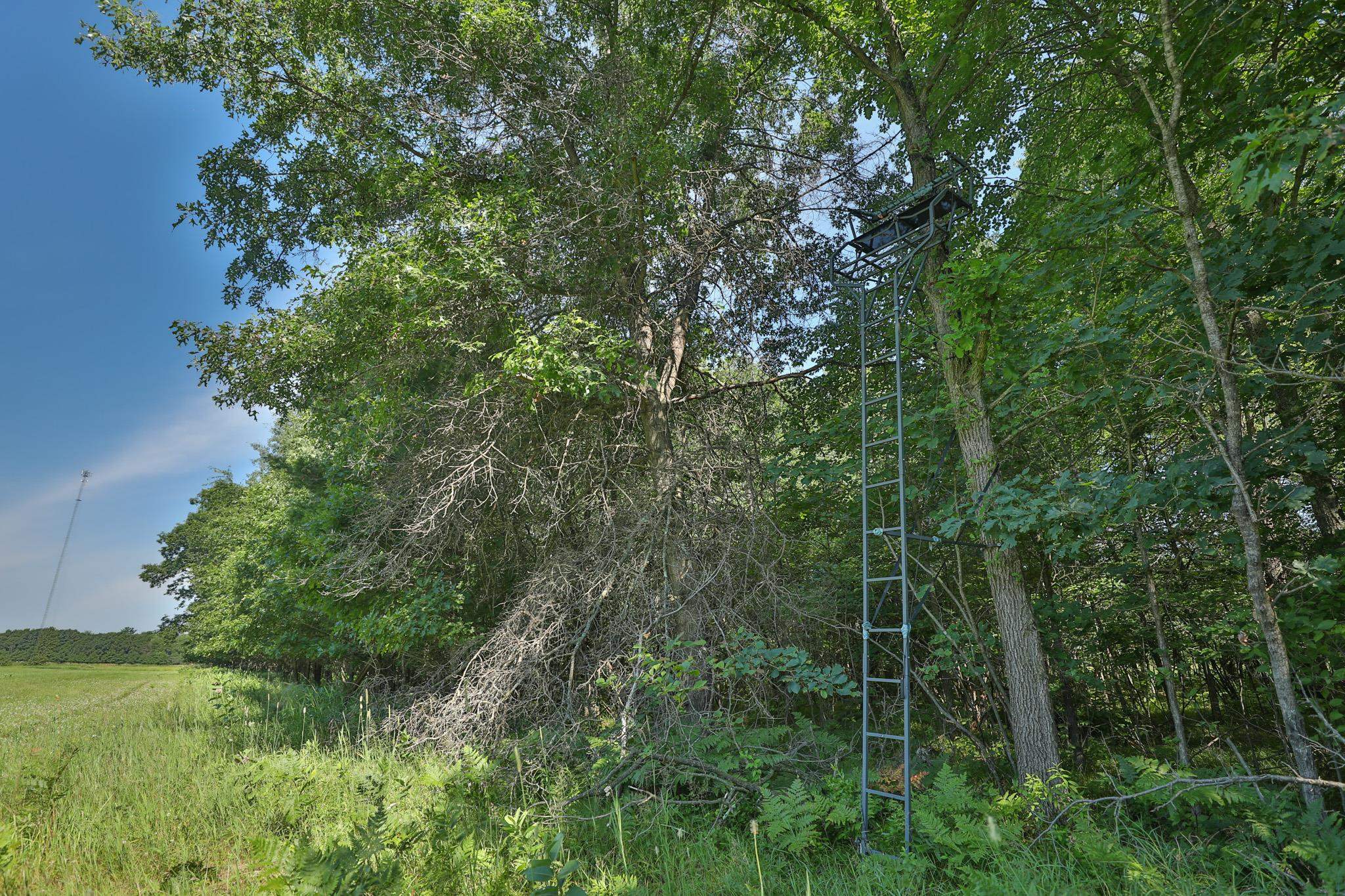 38.85 Ac County Road E